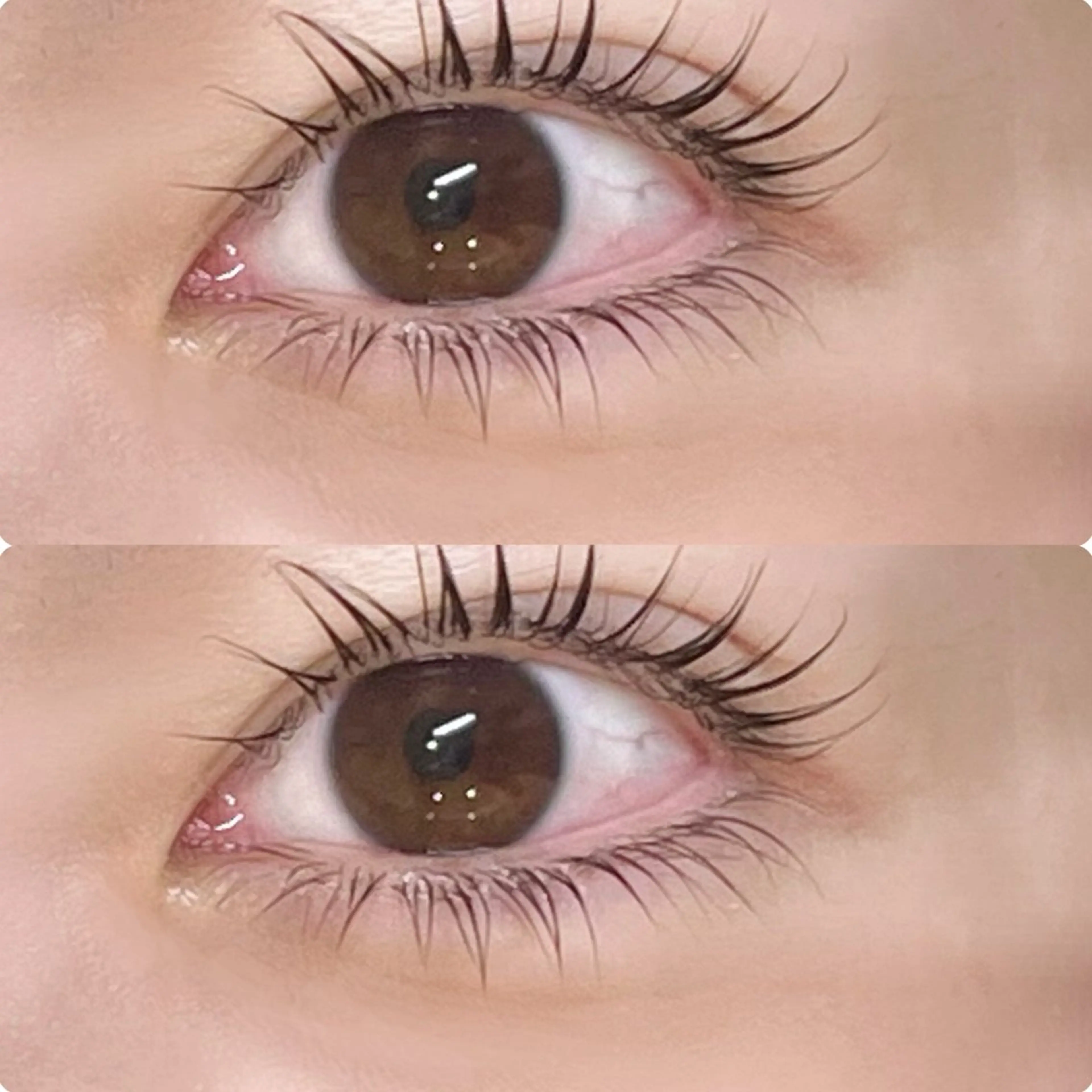 マツエク・マツパ 下まつげエクステ 一重×まつ毛パーマ マツパ ROCCO Yukaのマツエク・マツパデザイン