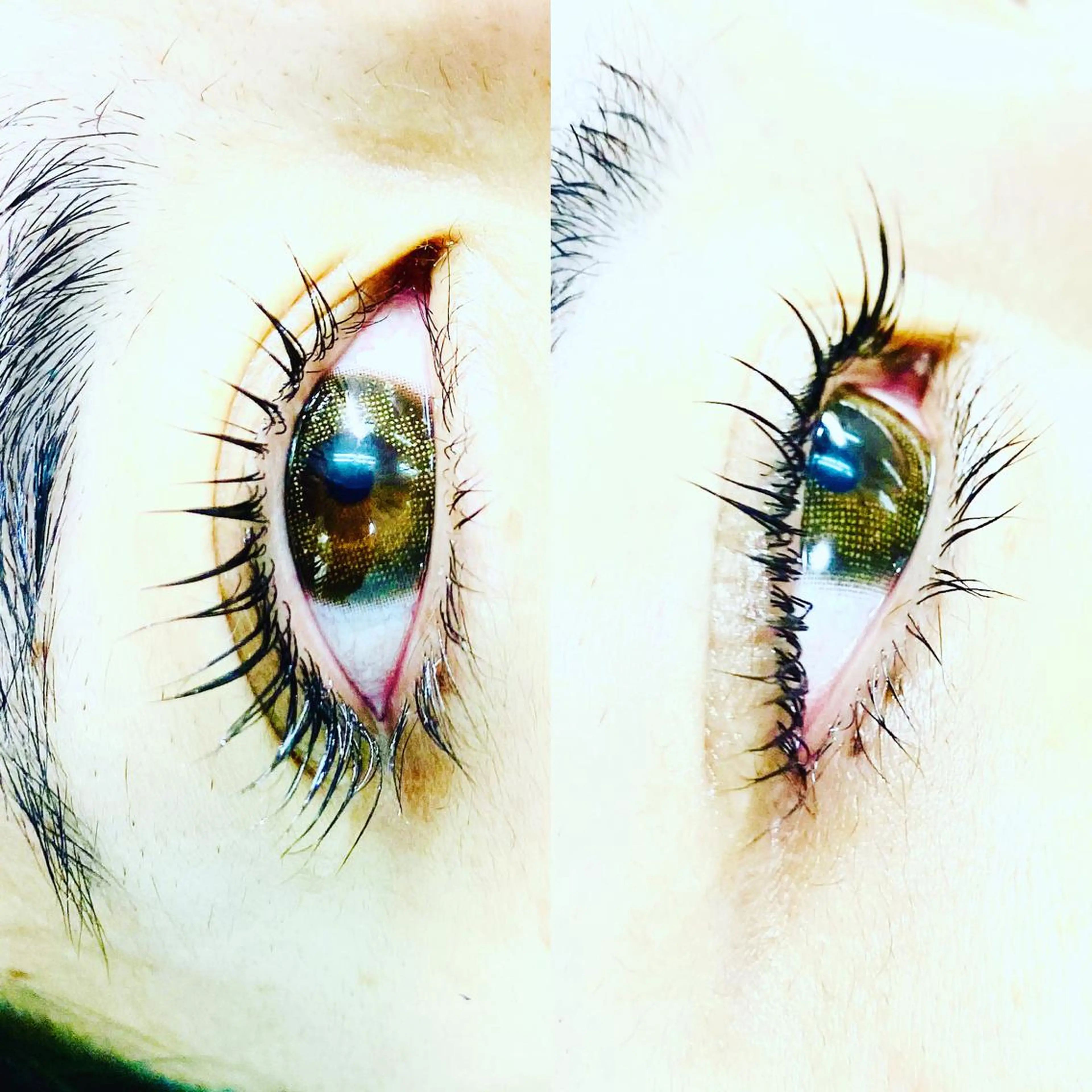 マツエク・マツパ B&b ビーアンドビーのマツエク・マツパデザイン