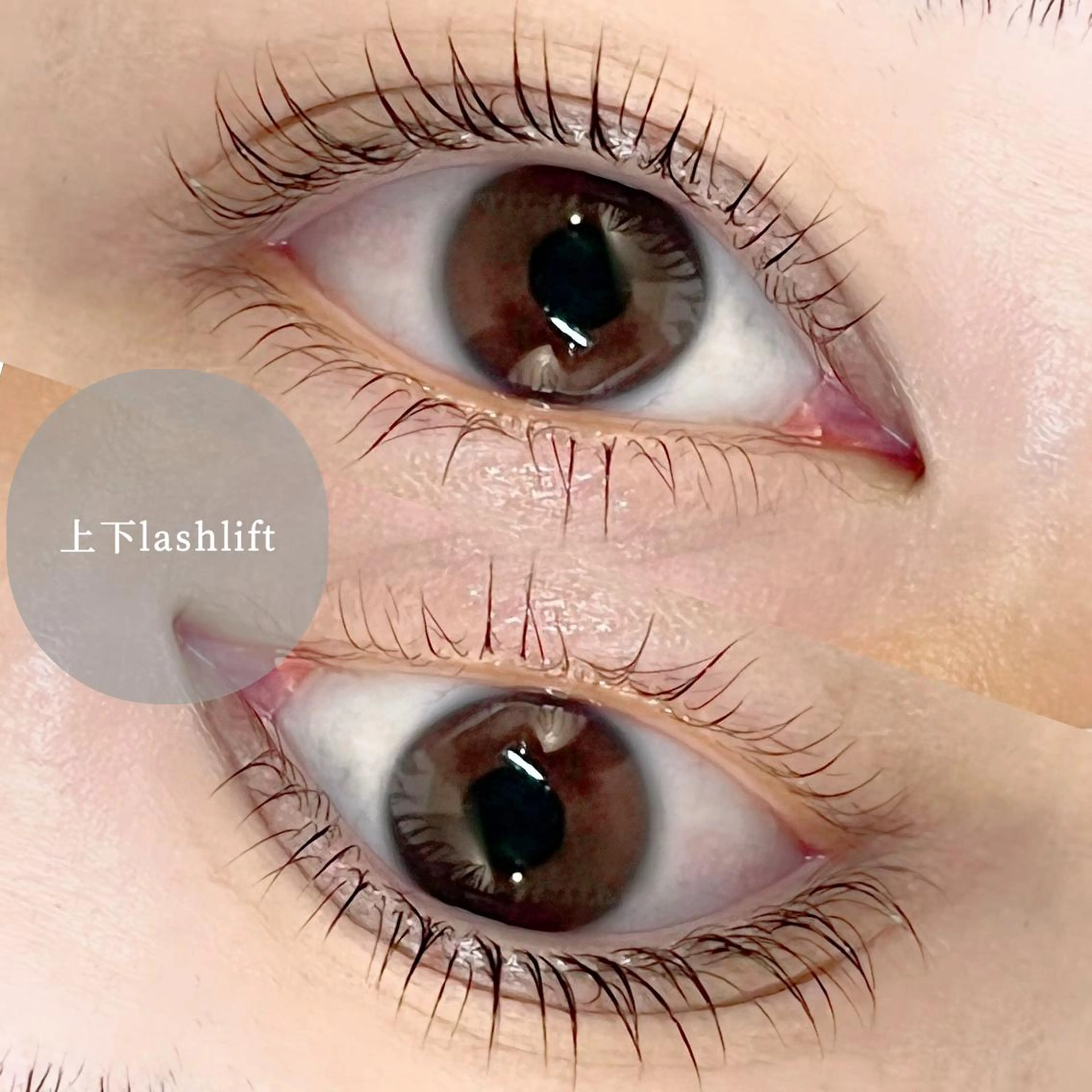 マツエク・マツパ マツパ STELLA ステラのマツエク・マツパデザイン