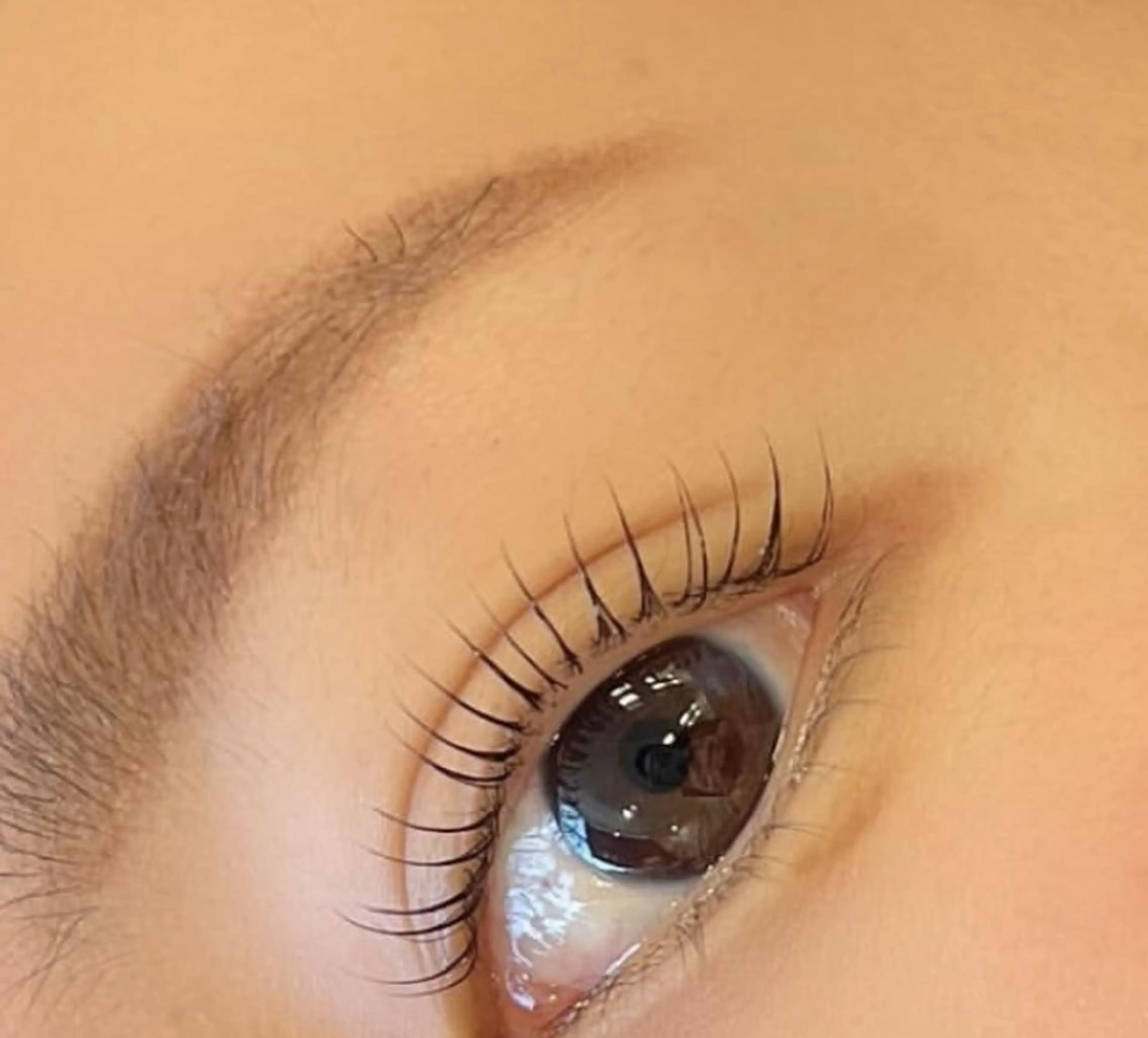 【❤️‍🔥ストレートからアーチまで黄金比で美眉完成❤️‍🔥】アイブロウワックス&メイクの写真