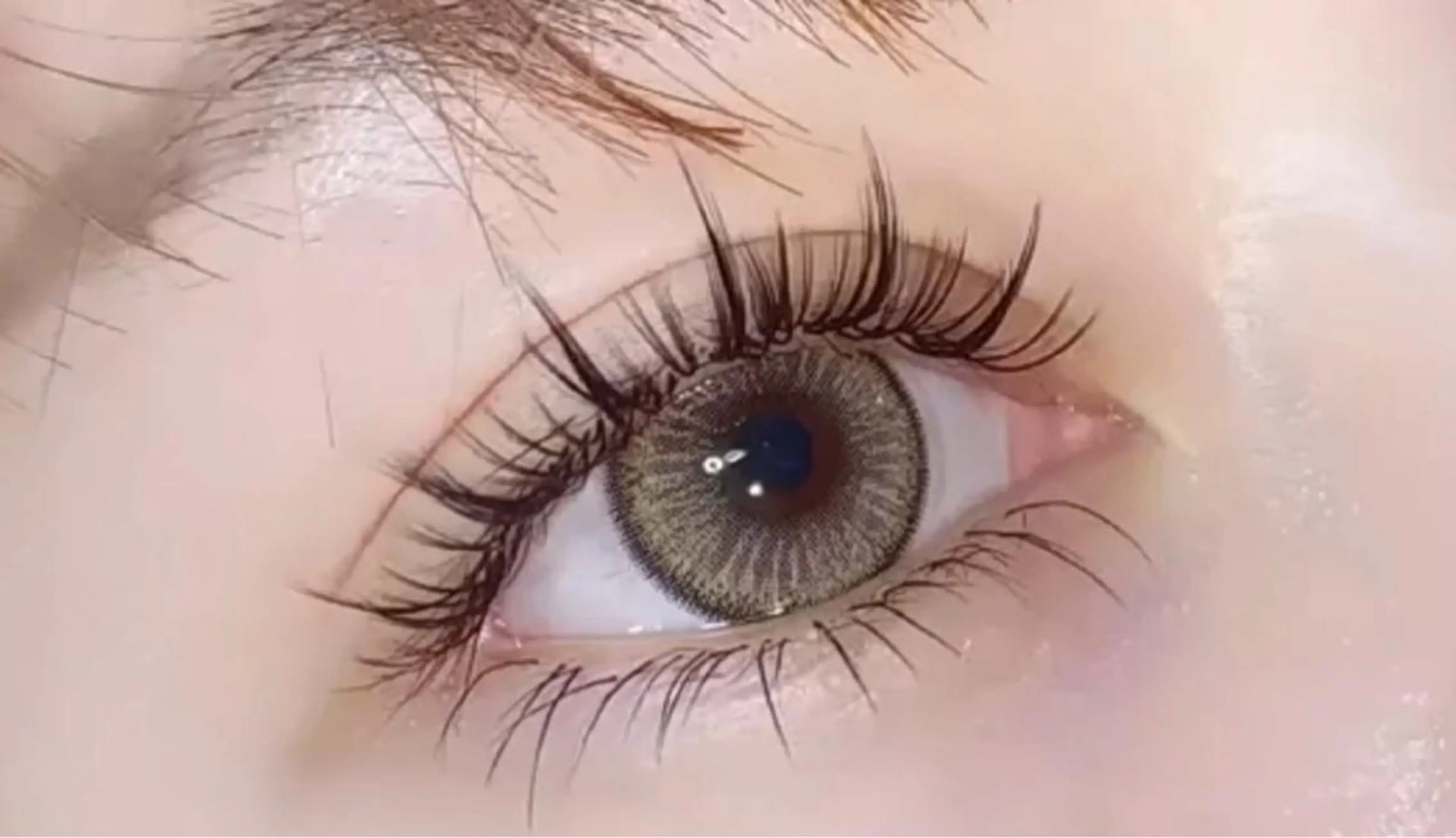 🌸下まつげ🌸　20本2000円の写真