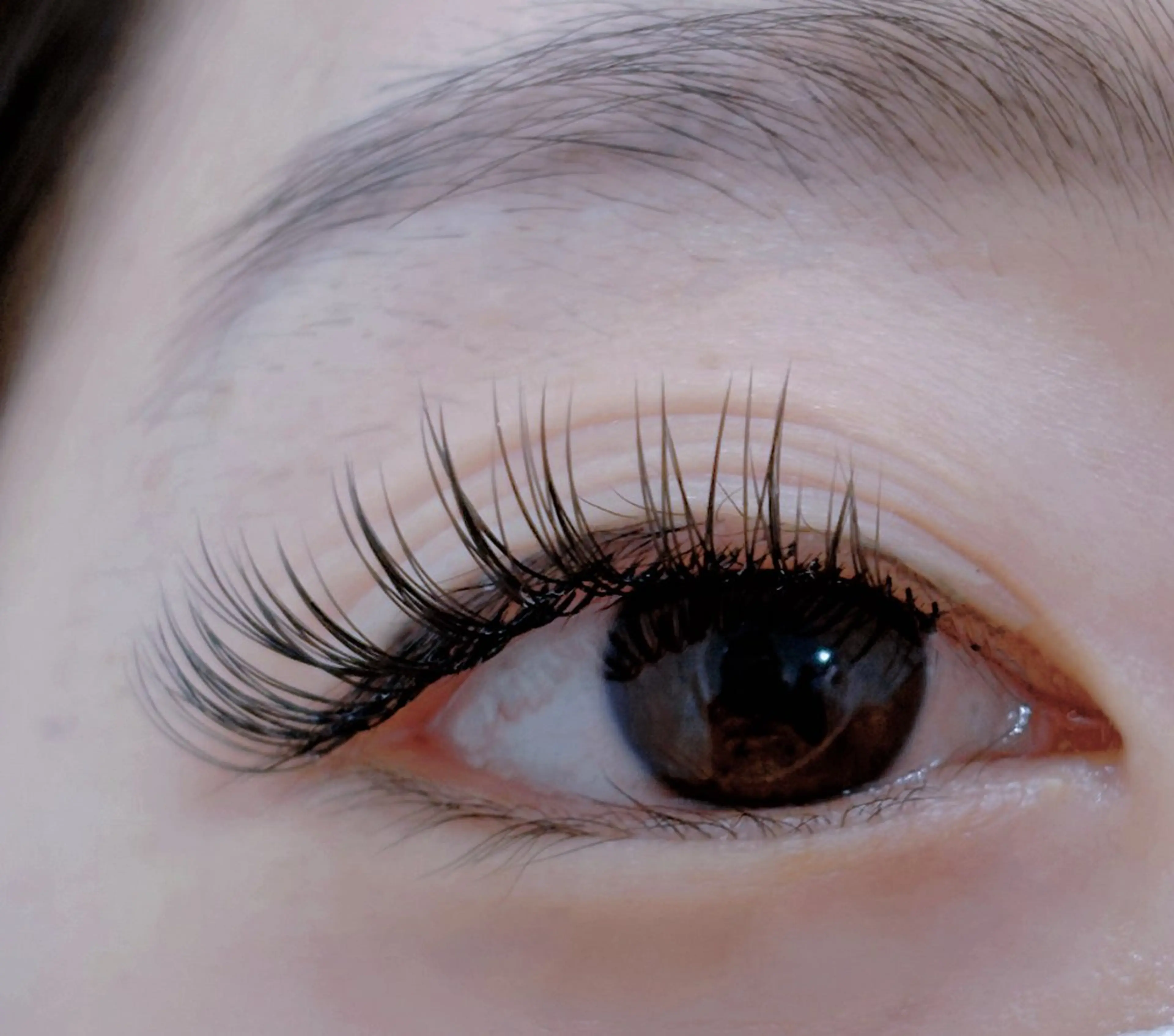 マツエク・マツパ マツエク EMA BEAUTY マツエクサロン池袋店のマツエク・マツパデザイン