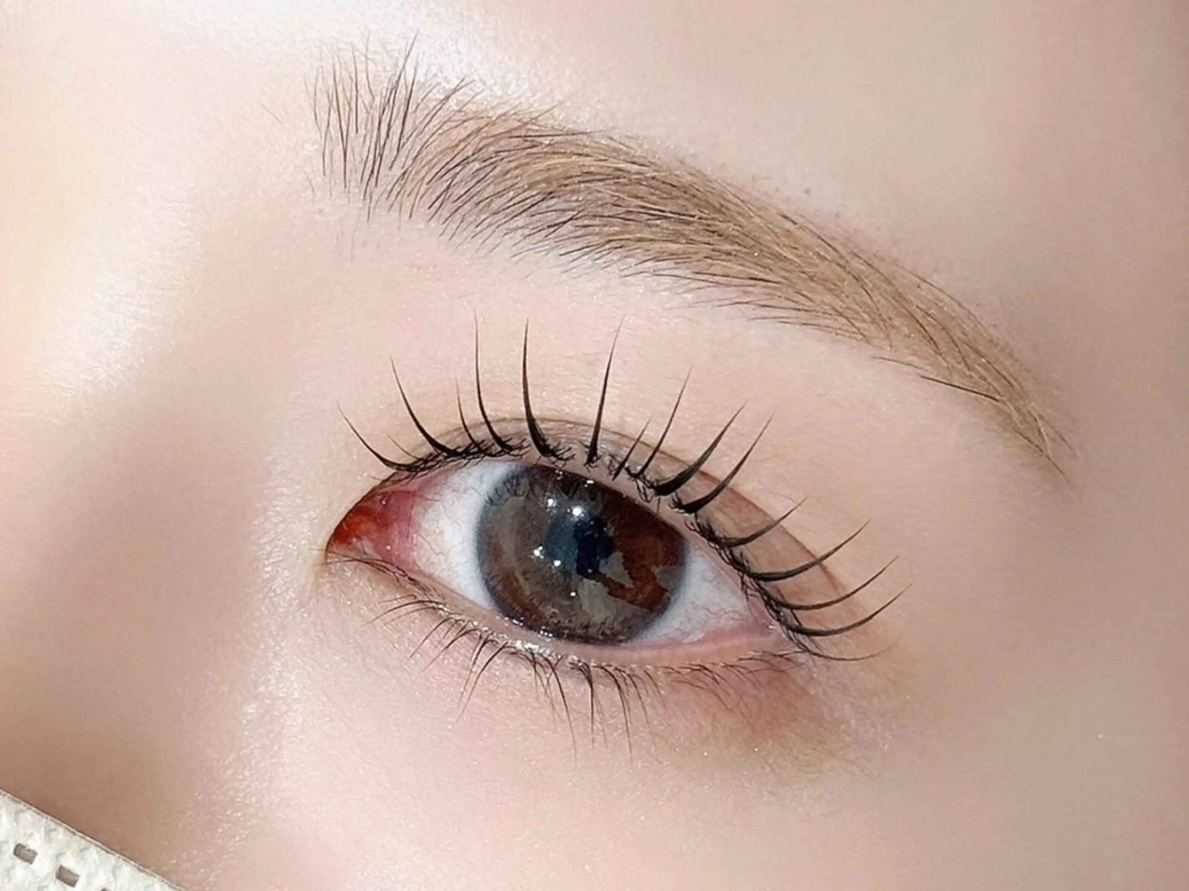 8/11🌺ラッシュリフト🌺の写真