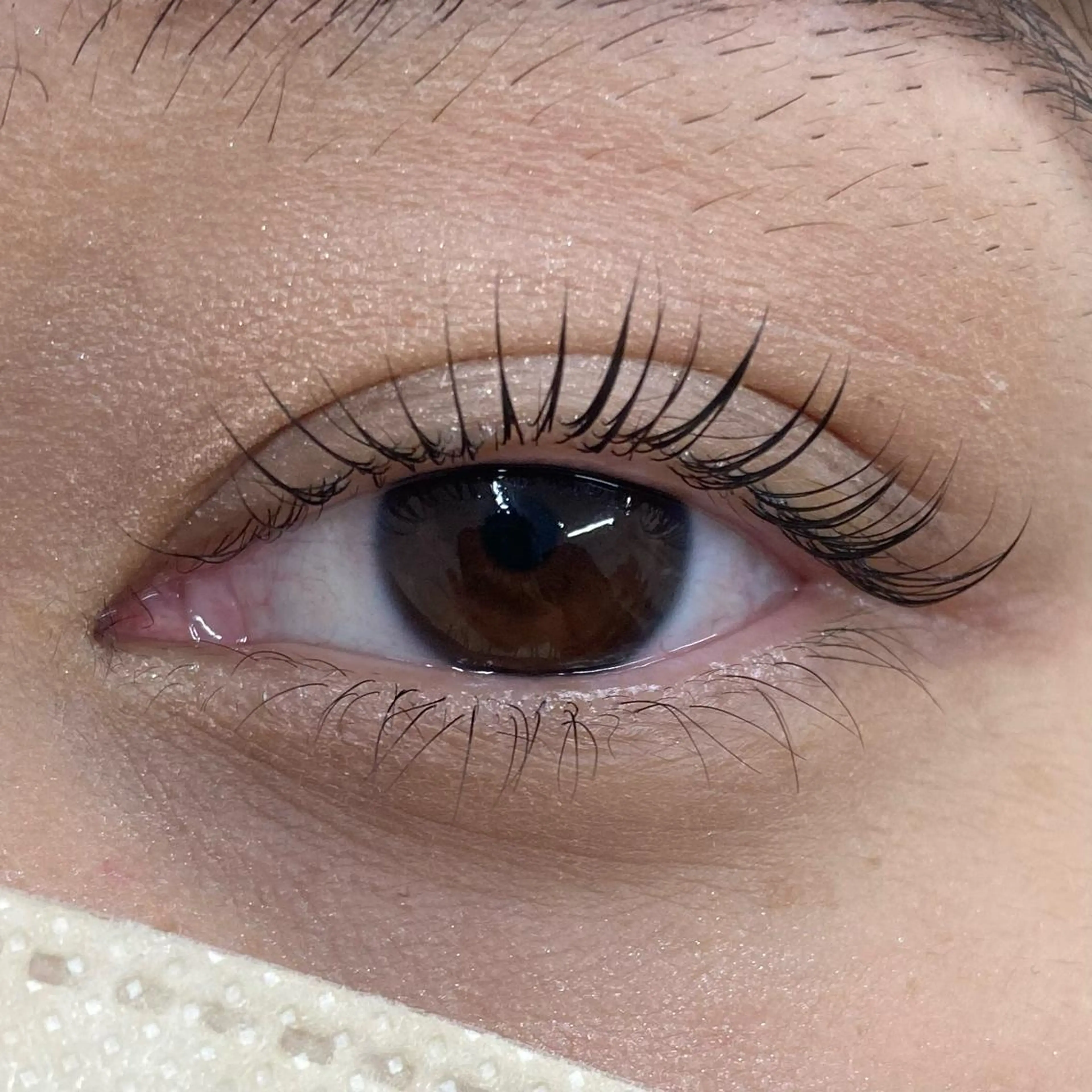 マツエク・マツパ マツパ THE BALM🐦 橋本♪のマツエク・マツパデザイン