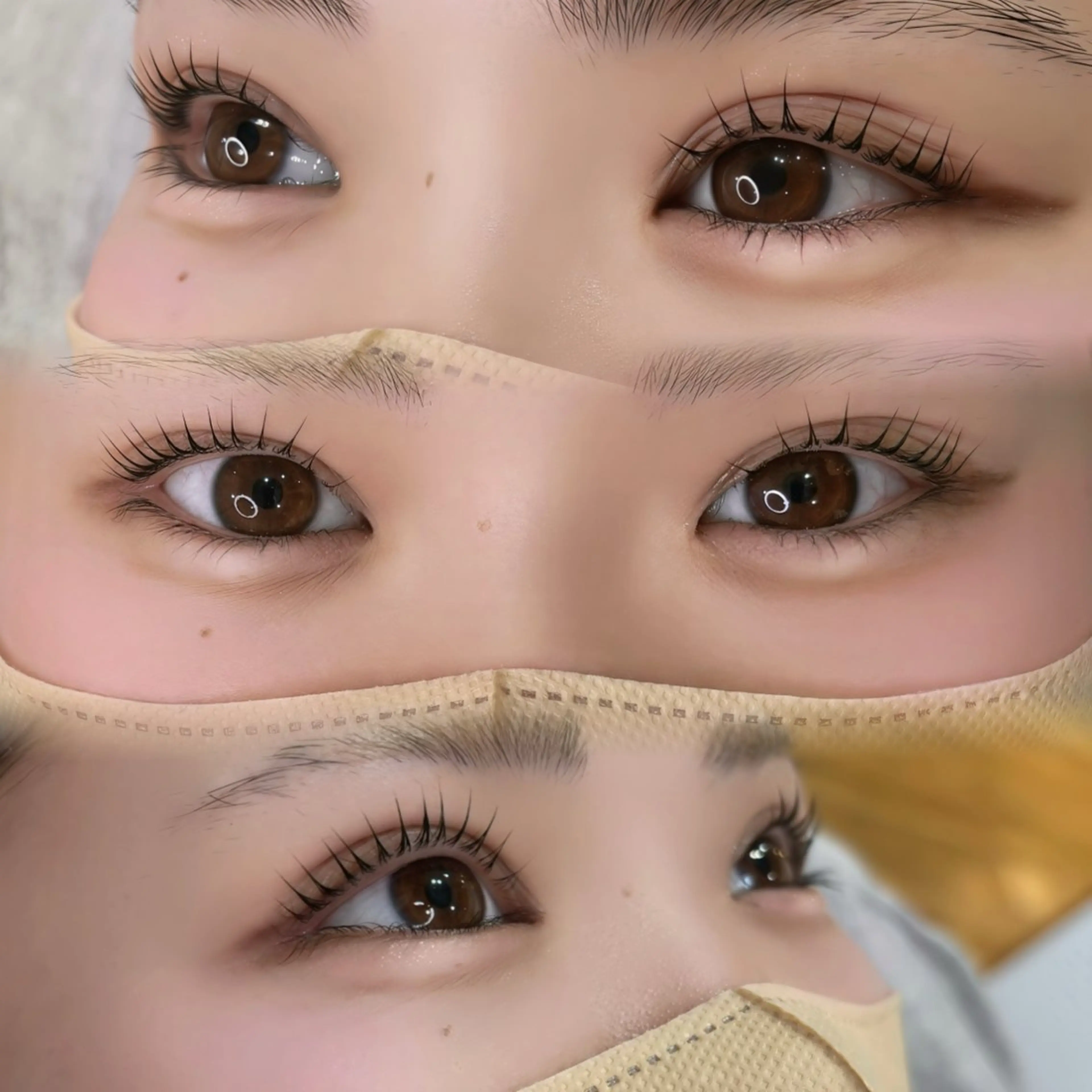 🌸4月16日 先着1名様限定✨ロイヤルラッシュリフト ¥7,700→¥0🫧の写真