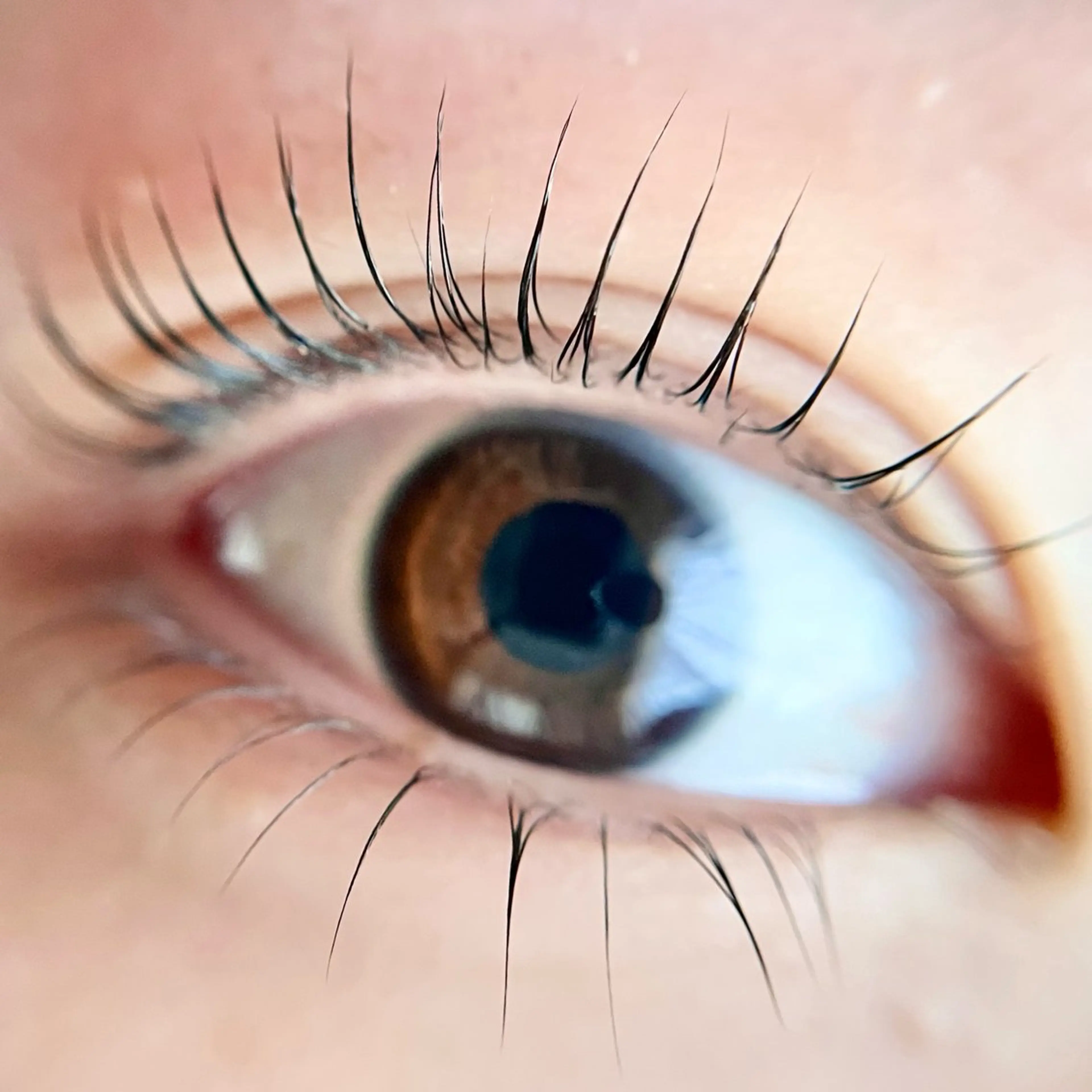 上下まつげパーマ🐾の写真