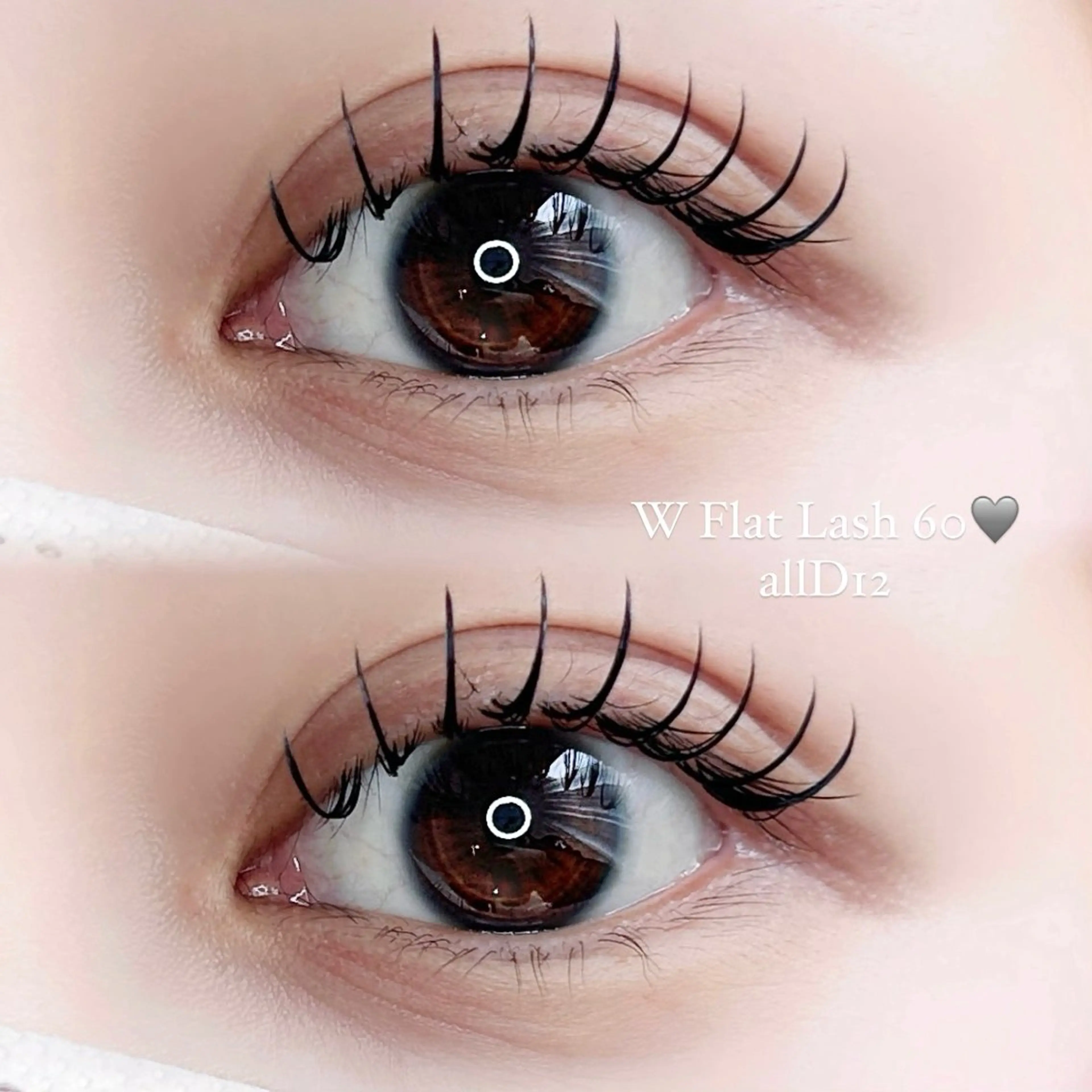 マツエク・マツパ フラットラッシュ マツエク iels 三軒茶屋/ MANABE AIのマツエク・マツパデザイン