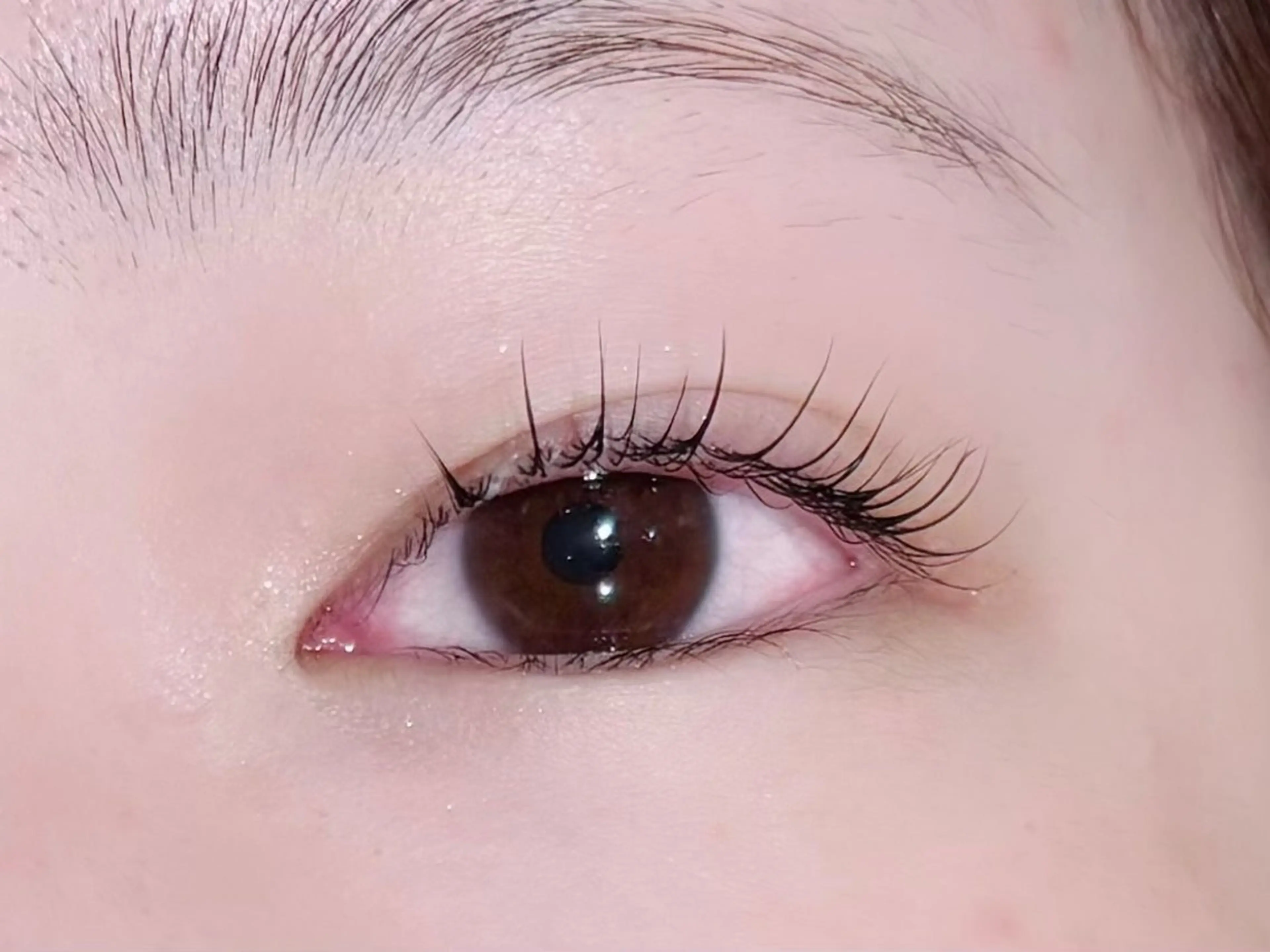 【🦋 新規様限定 🦋】パッチリ束感韓国まつ毛パーマ👀🫧の写真