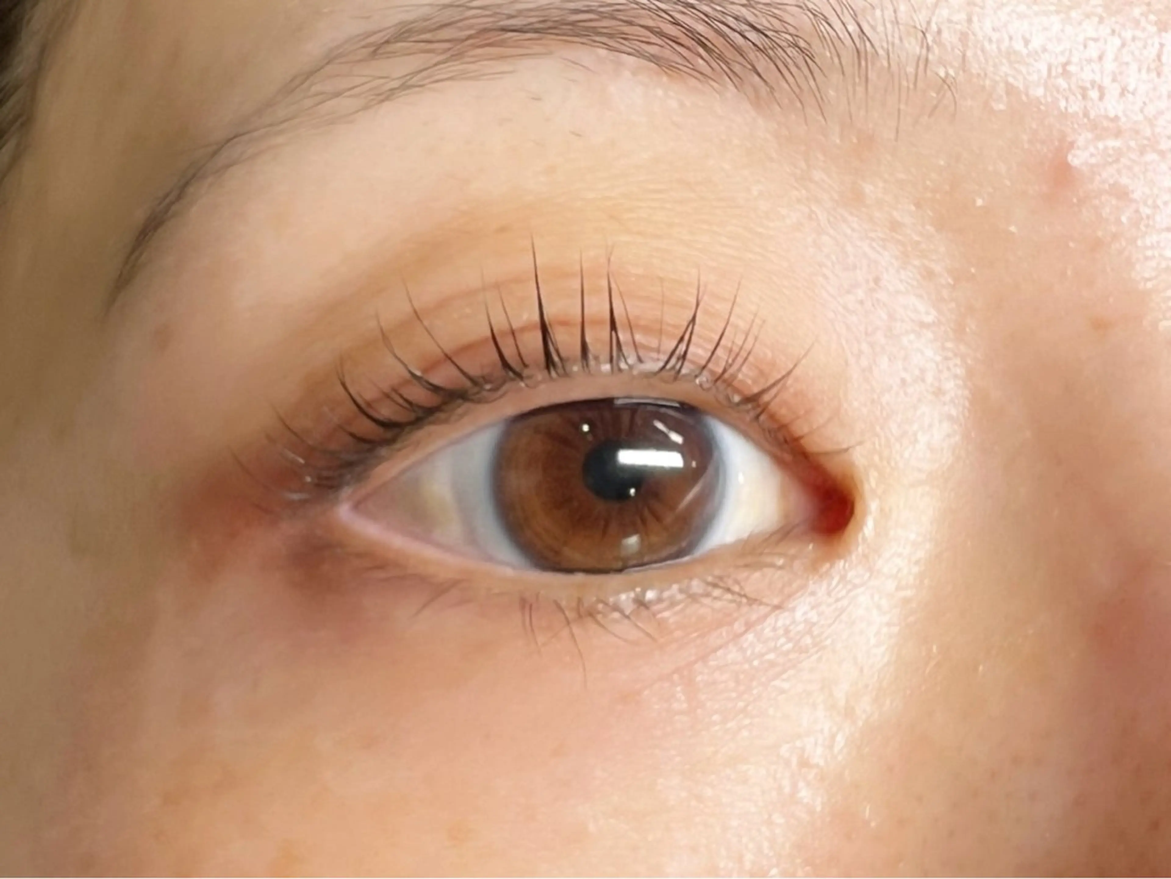 マツエク・マツパ マツパ Kira&Nico マツエク/まつパのマツエク・マツパデザイン