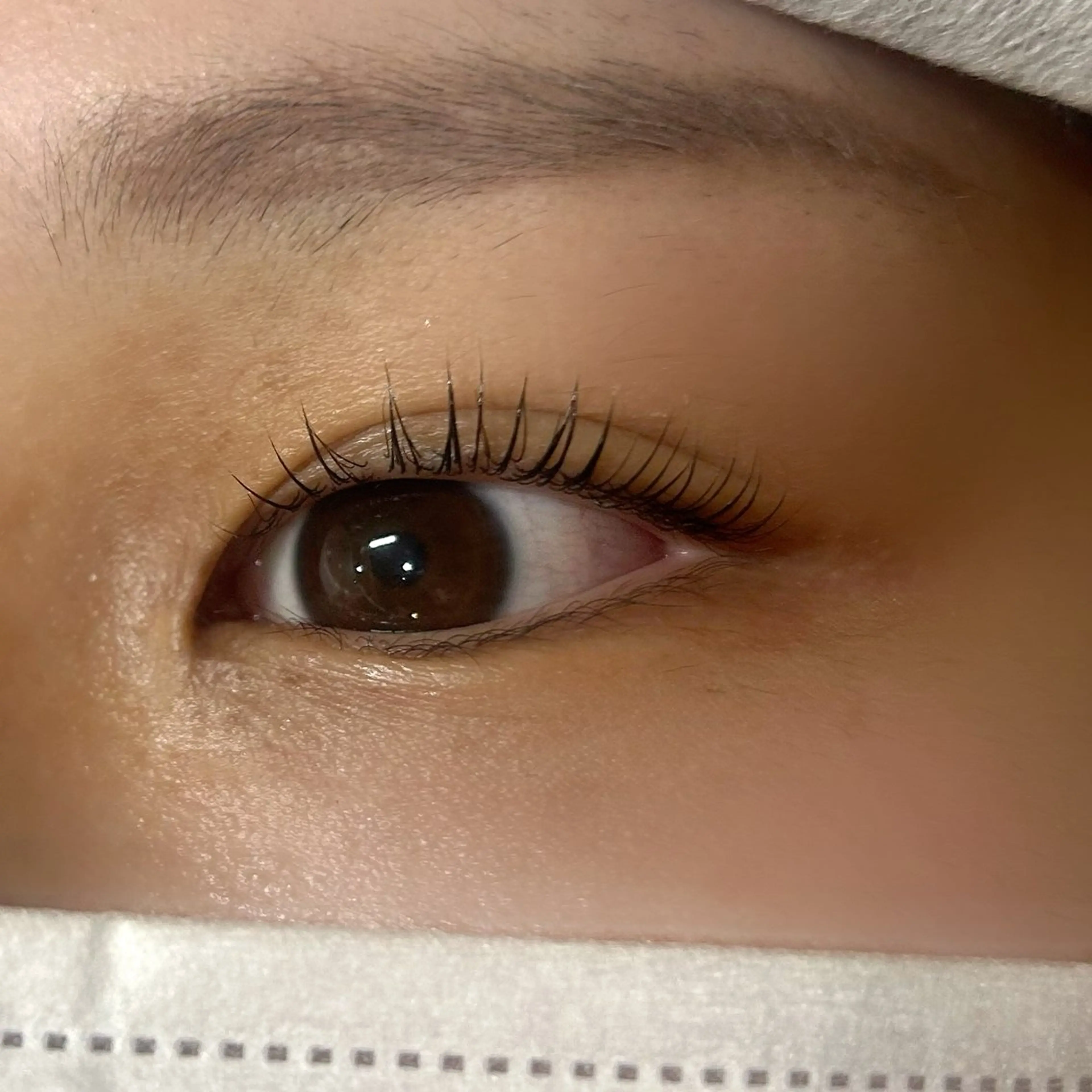 マツエク・マツパ 🌸アイリスト fujiwara🌸のマツエク・マツパデザイン