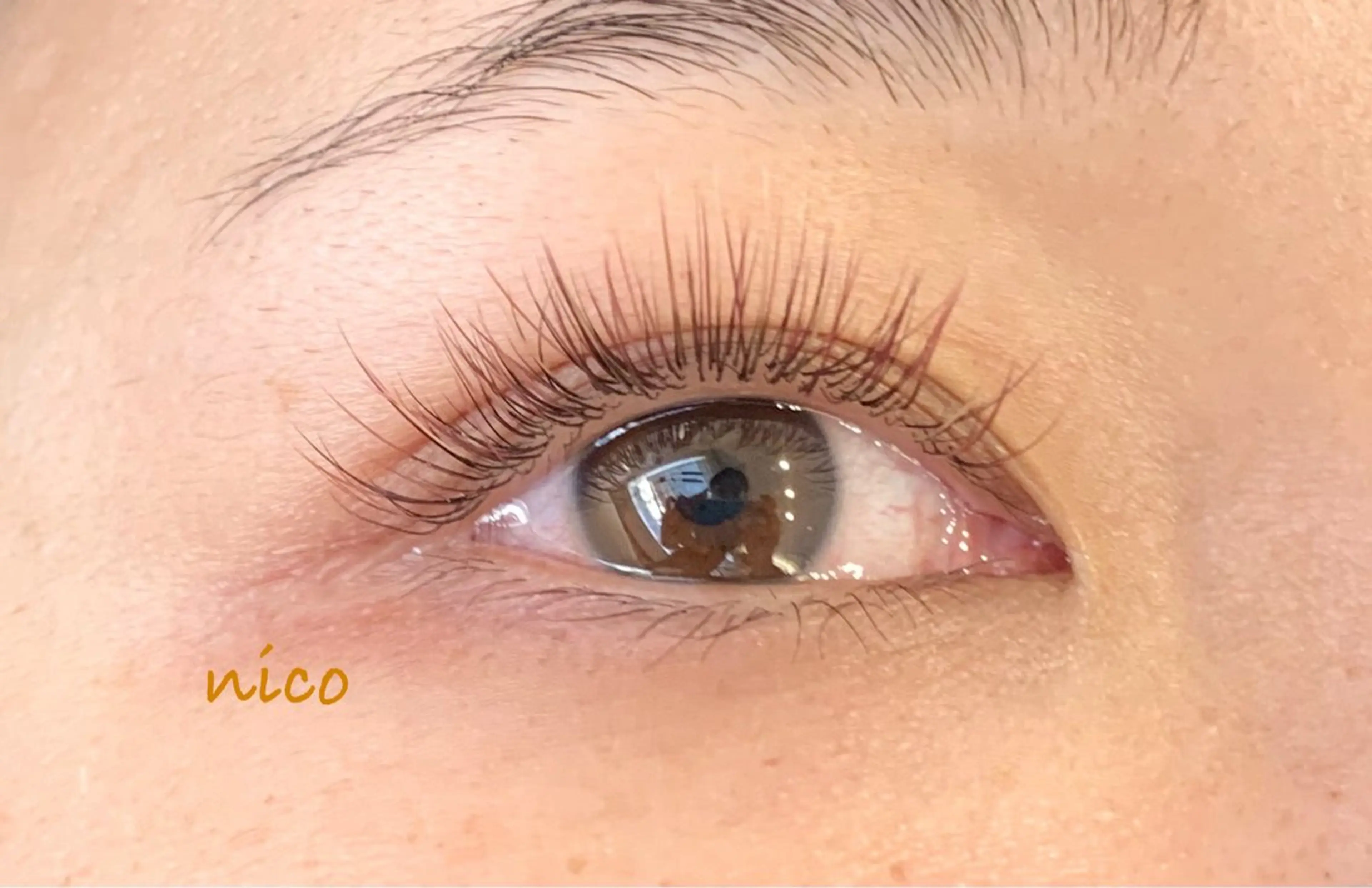 マツエク・マツパ nico所属・Shiho 🌼のマツエク・マツパデザイン