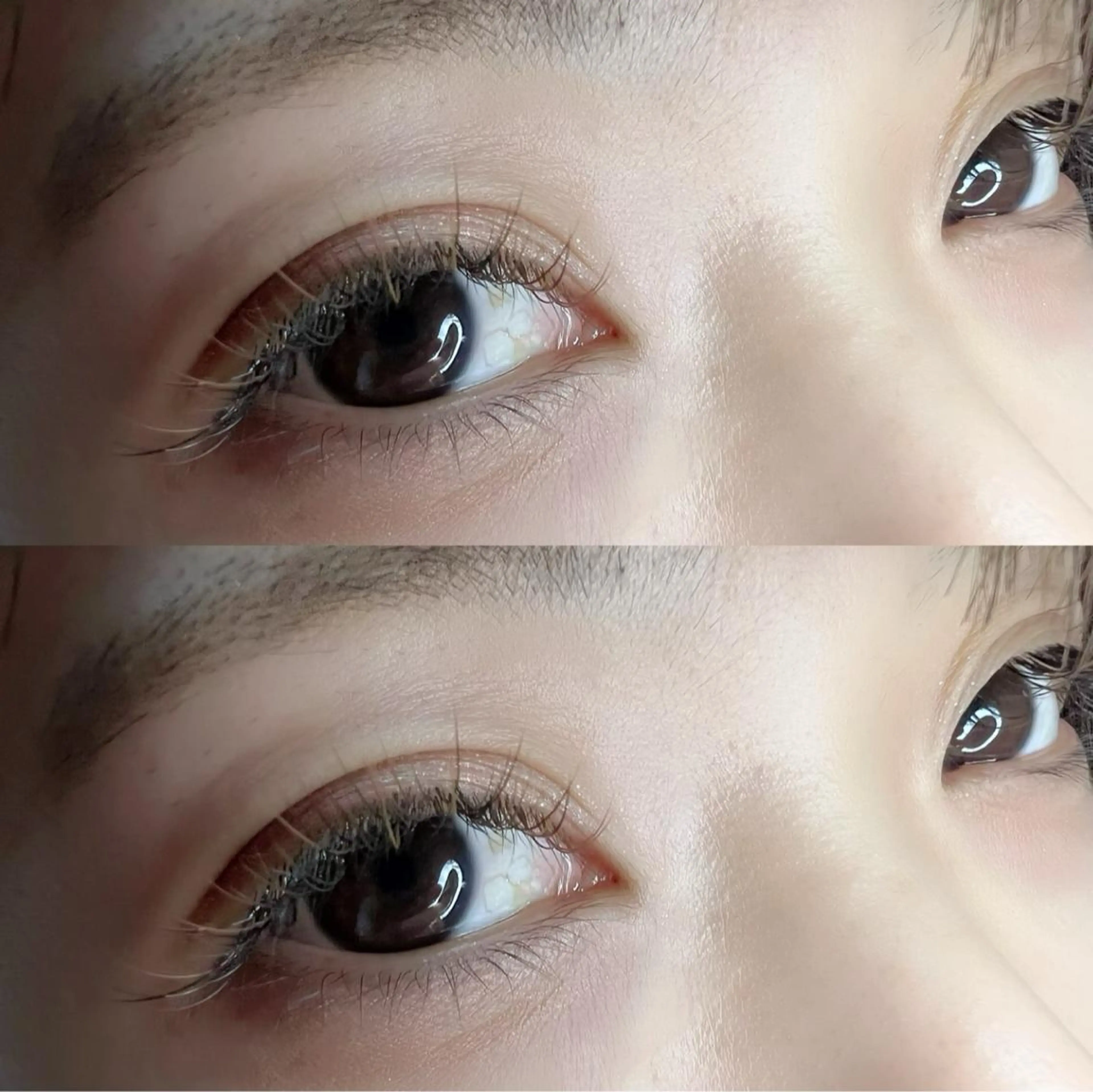 マツエク・マツパ カラーマツエク セーブル マツエク 六花〜rikka〜所属・六花 〜rikka〜のマツエク・マツパデザイン