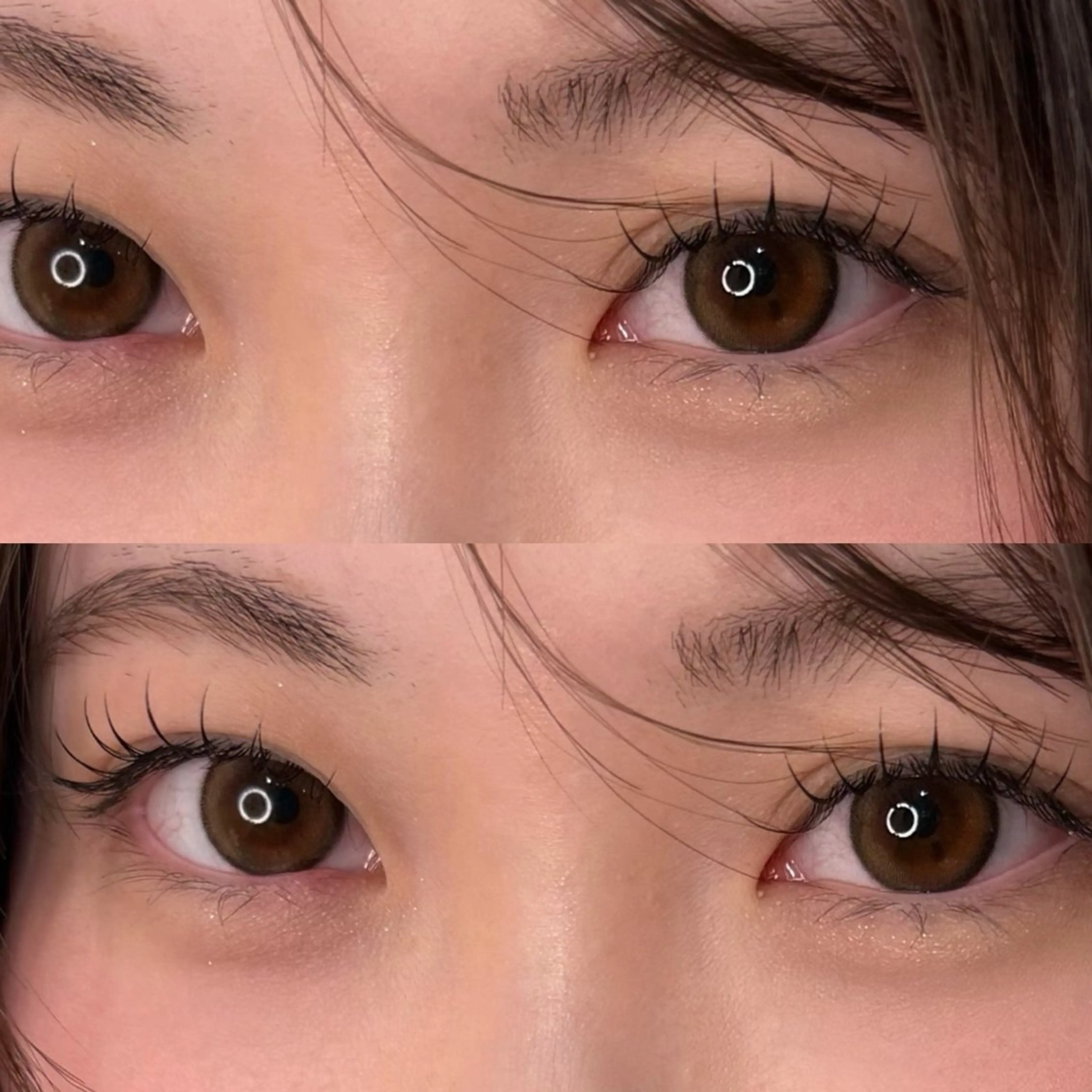 フラットラッシュ120本（LEDも🉑）の写真