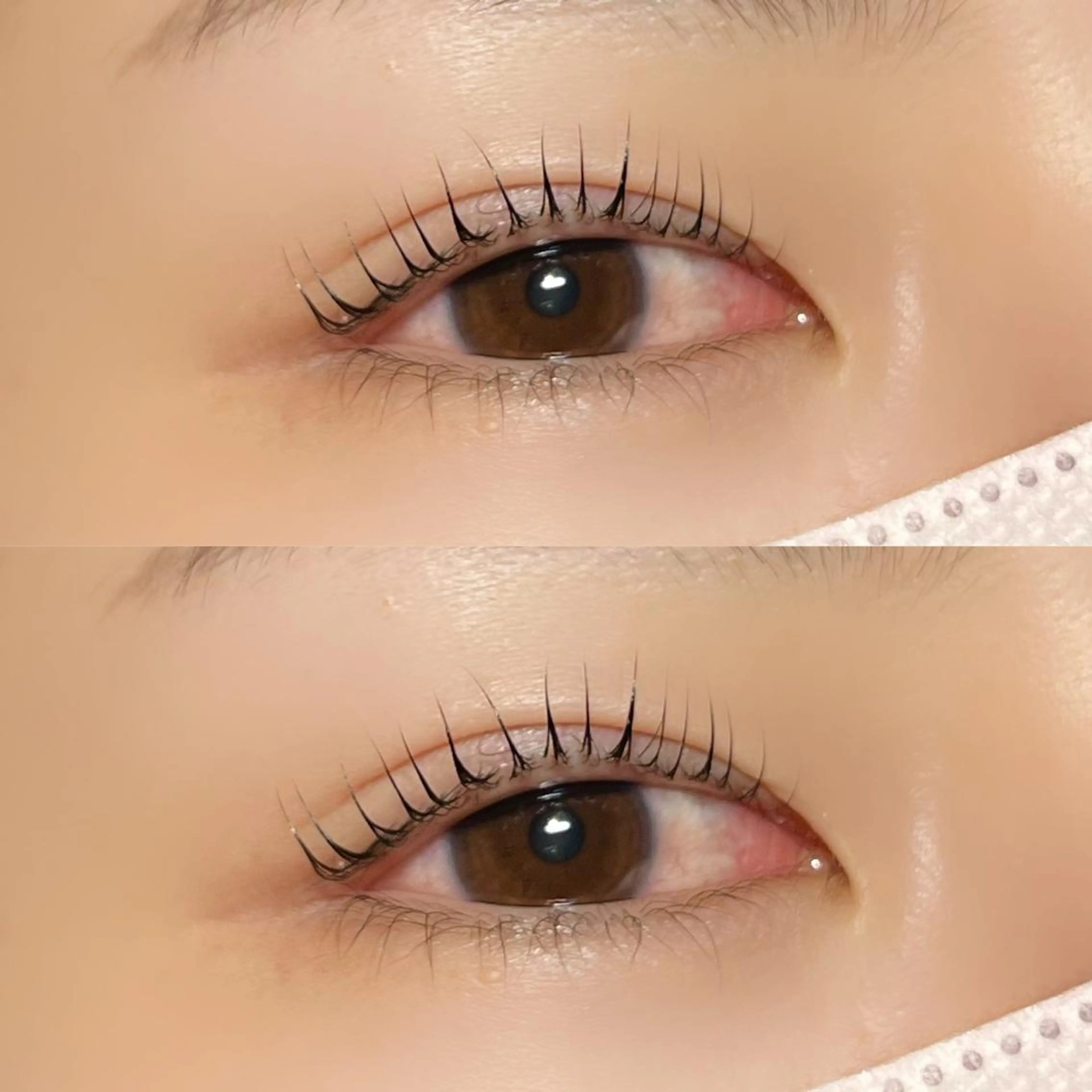 マツエク・マツパ Milobyking 🍒rihoの眉毛・アイブロウイメージ