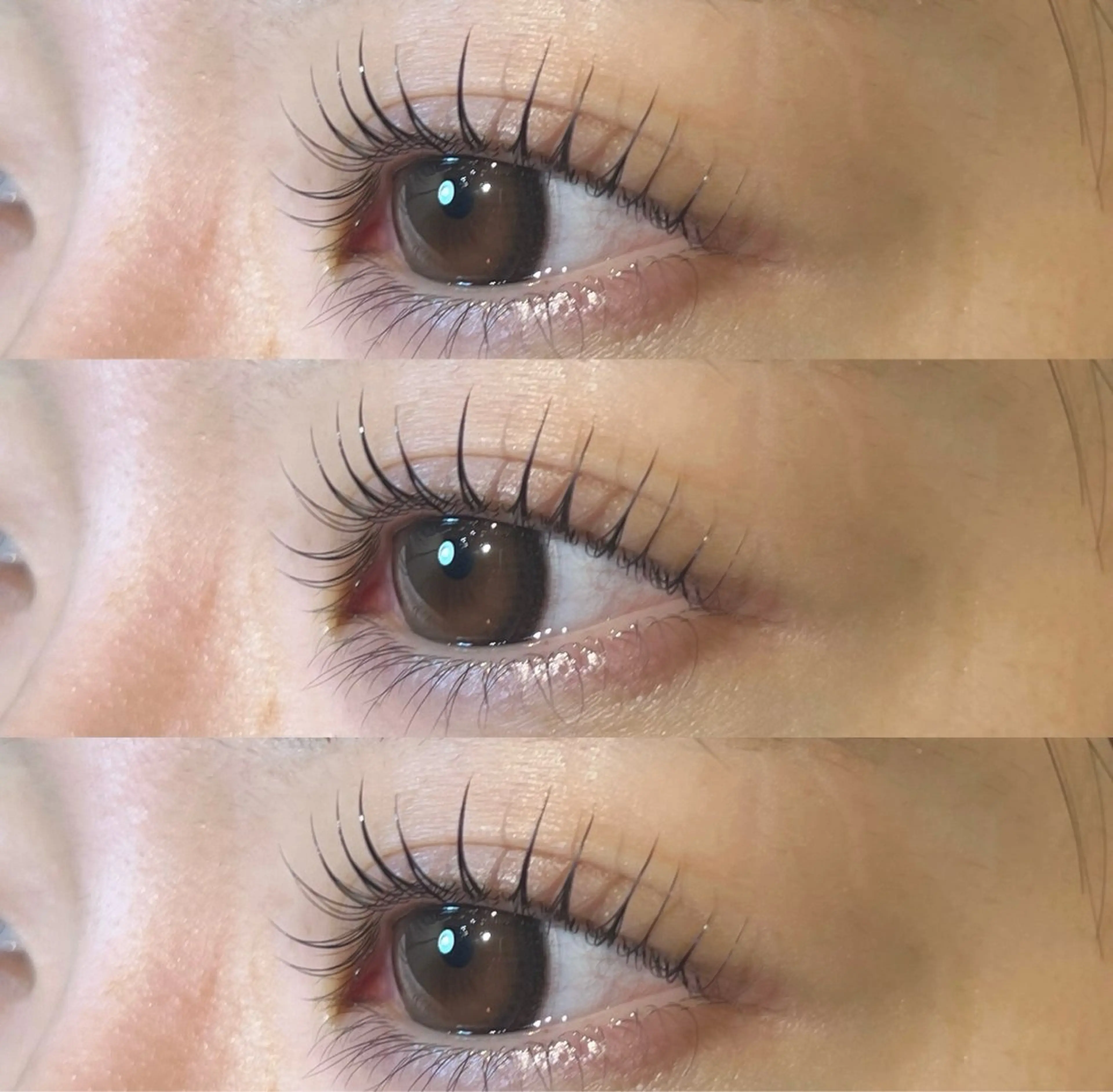 ✨🌸4月ご新規様限定クーポン🌸✨当店人気No.1パリジェンヌラッシュリフトorラッシュリフトの写真