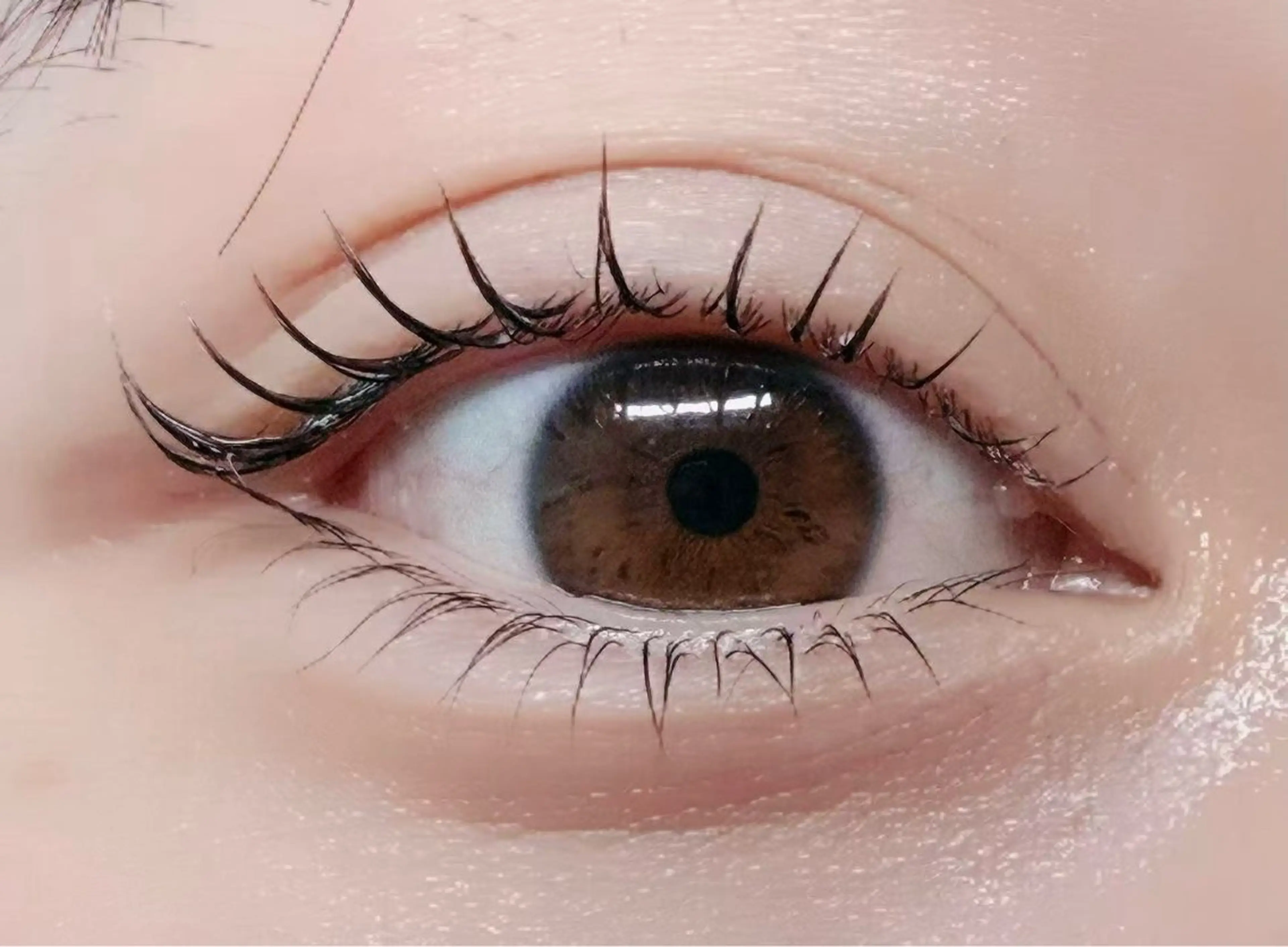 パーマ マツパ ルチア🎀 ツバメのマツエク・マツパデザイン