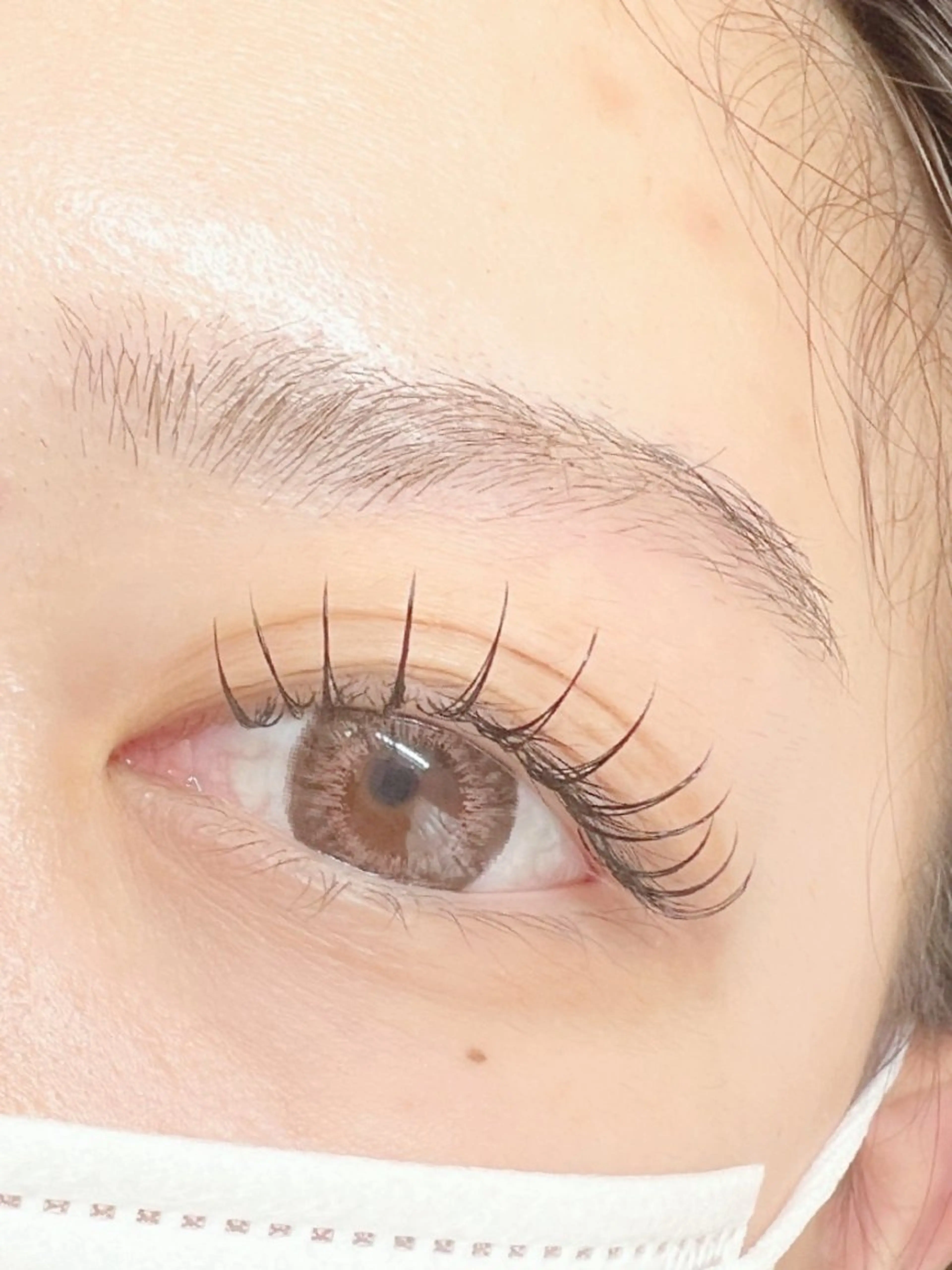 マツエク・マツパ フラットラッシュ Eyelash Hauoliの眉毛・アイブロウイメージ