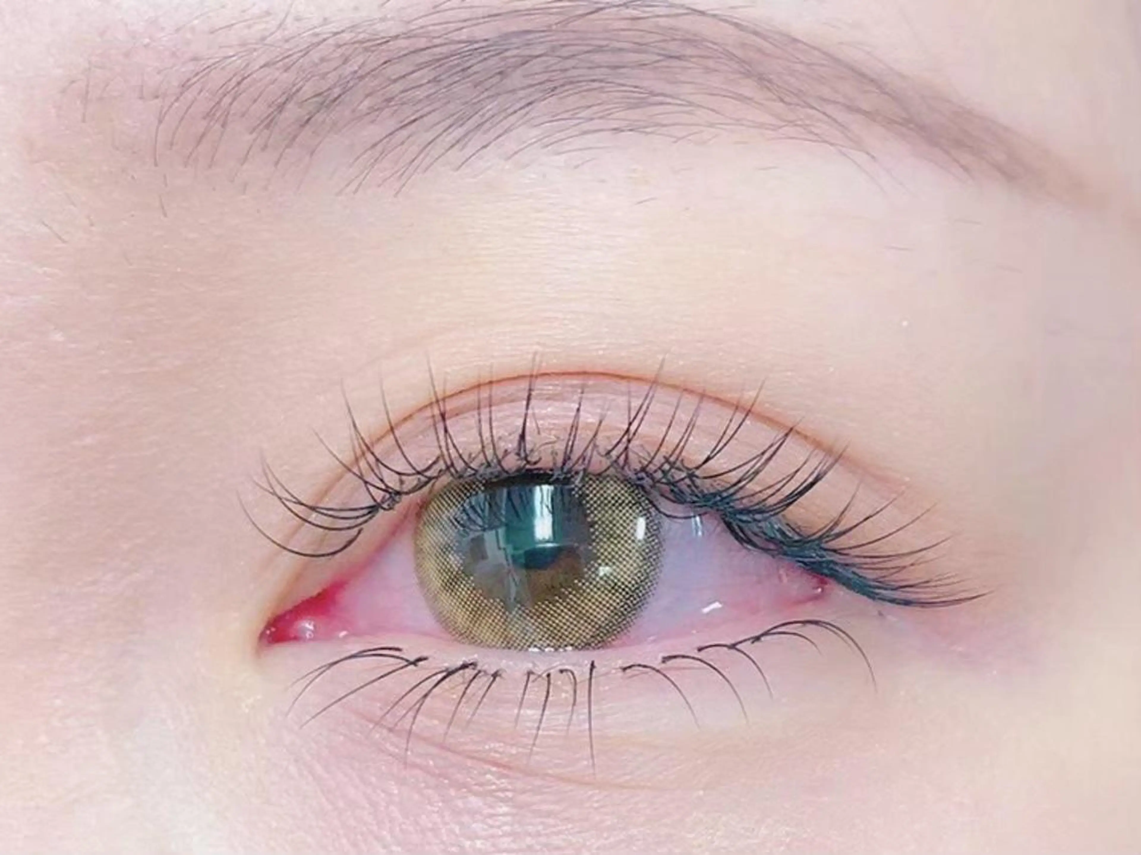 🪻シングルラッシュ140本🪻(オフ無し)+ご指名料¥330込み⏰90分(藤沢)の写真