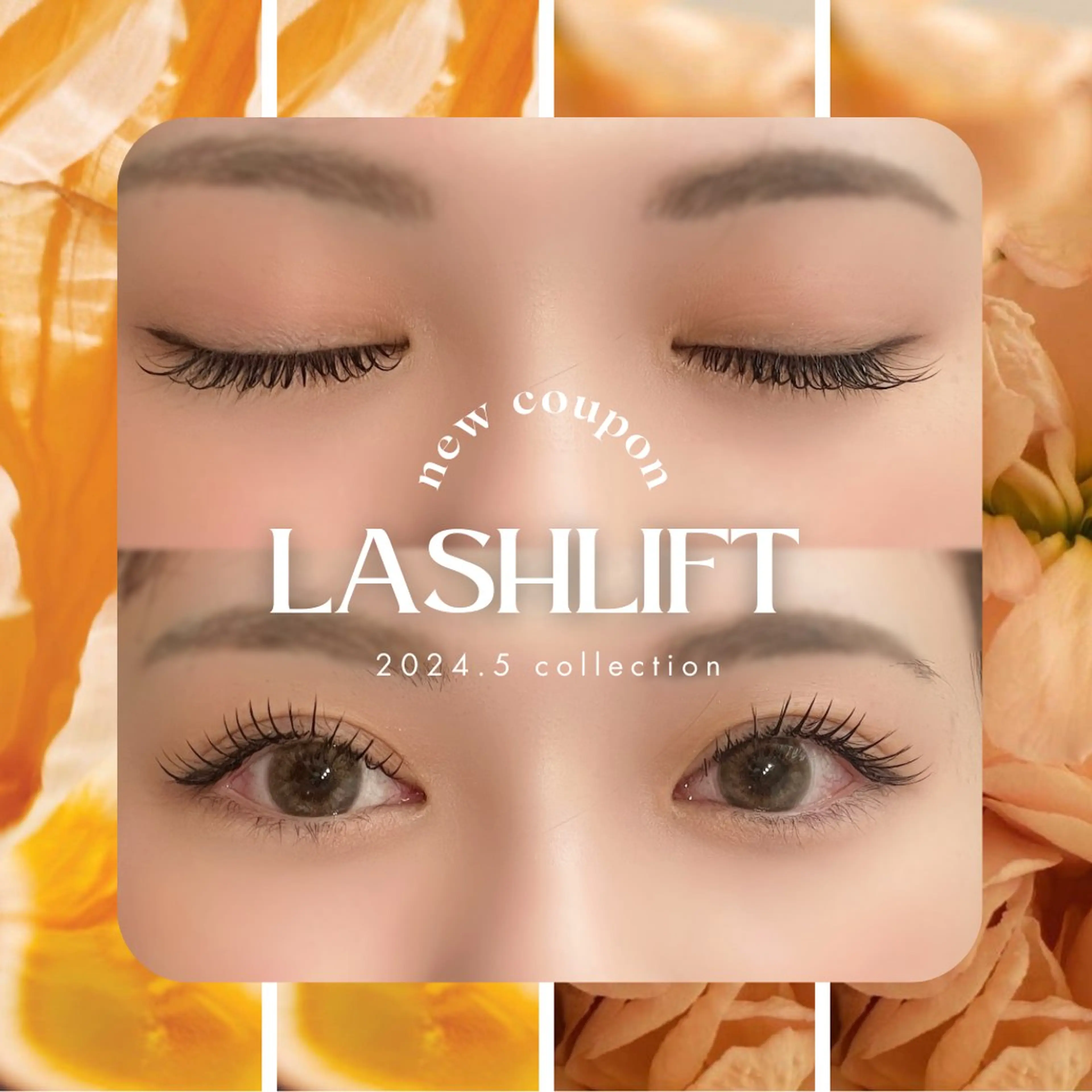 【知ってもらおうキャンペーン】フラットラッシュ120本の写真