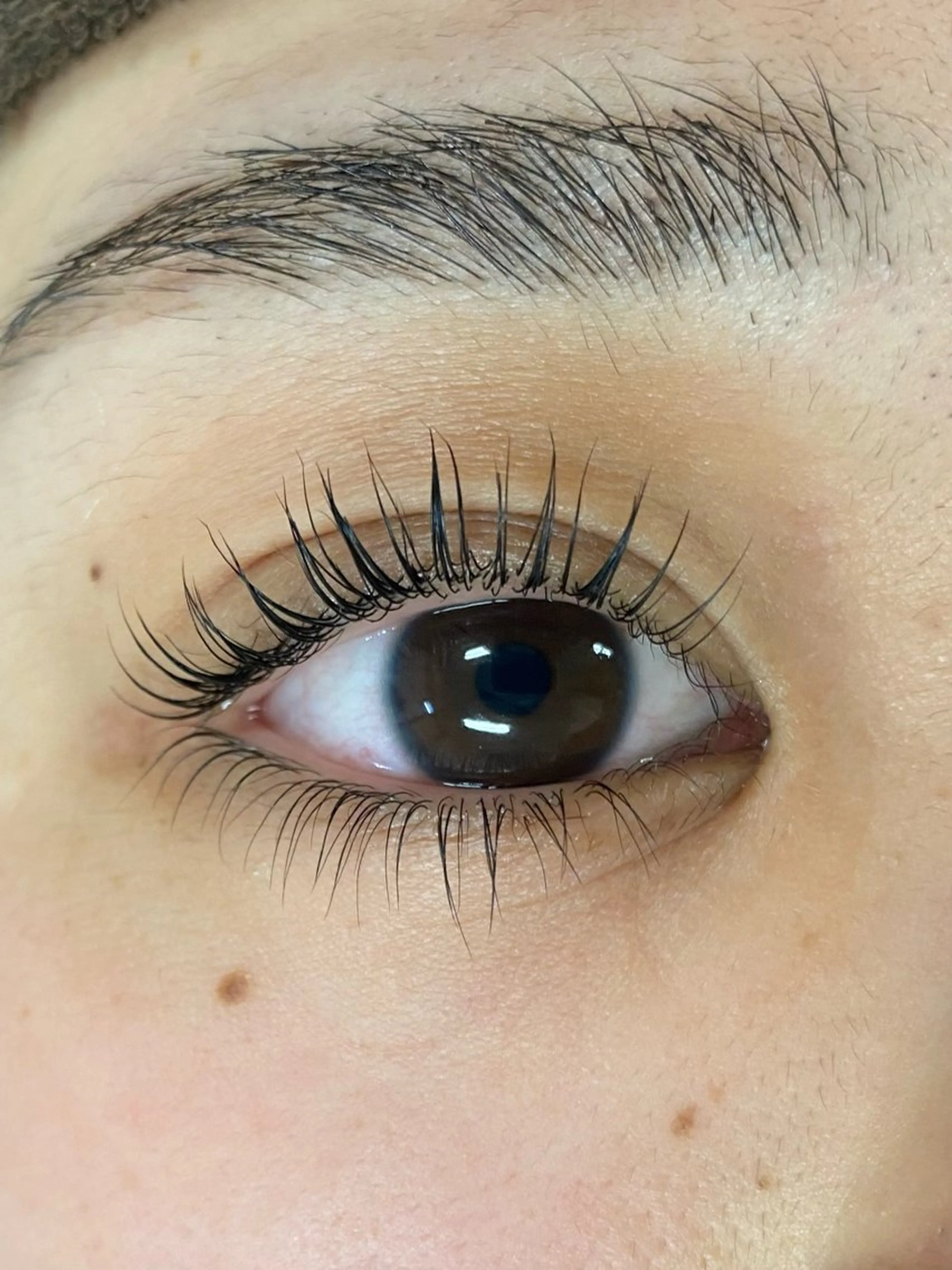 マツエク・マツパ ニコットラッシュ 畦地のマツエク・マツパデザイン