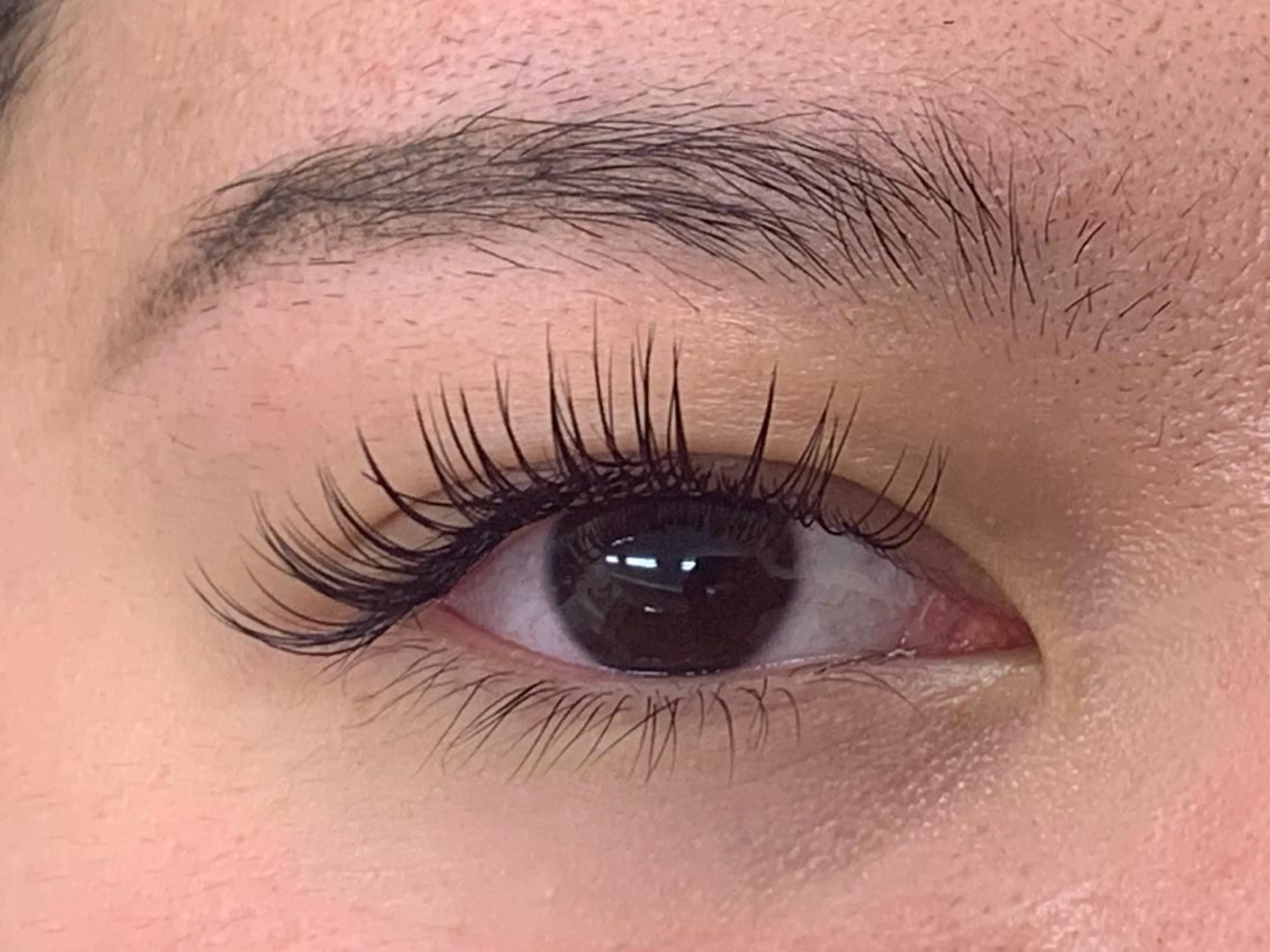 4/14限定【オフあり】フラットラッシュつけ放題(180本まで)🦋LED変更可能◎の写真