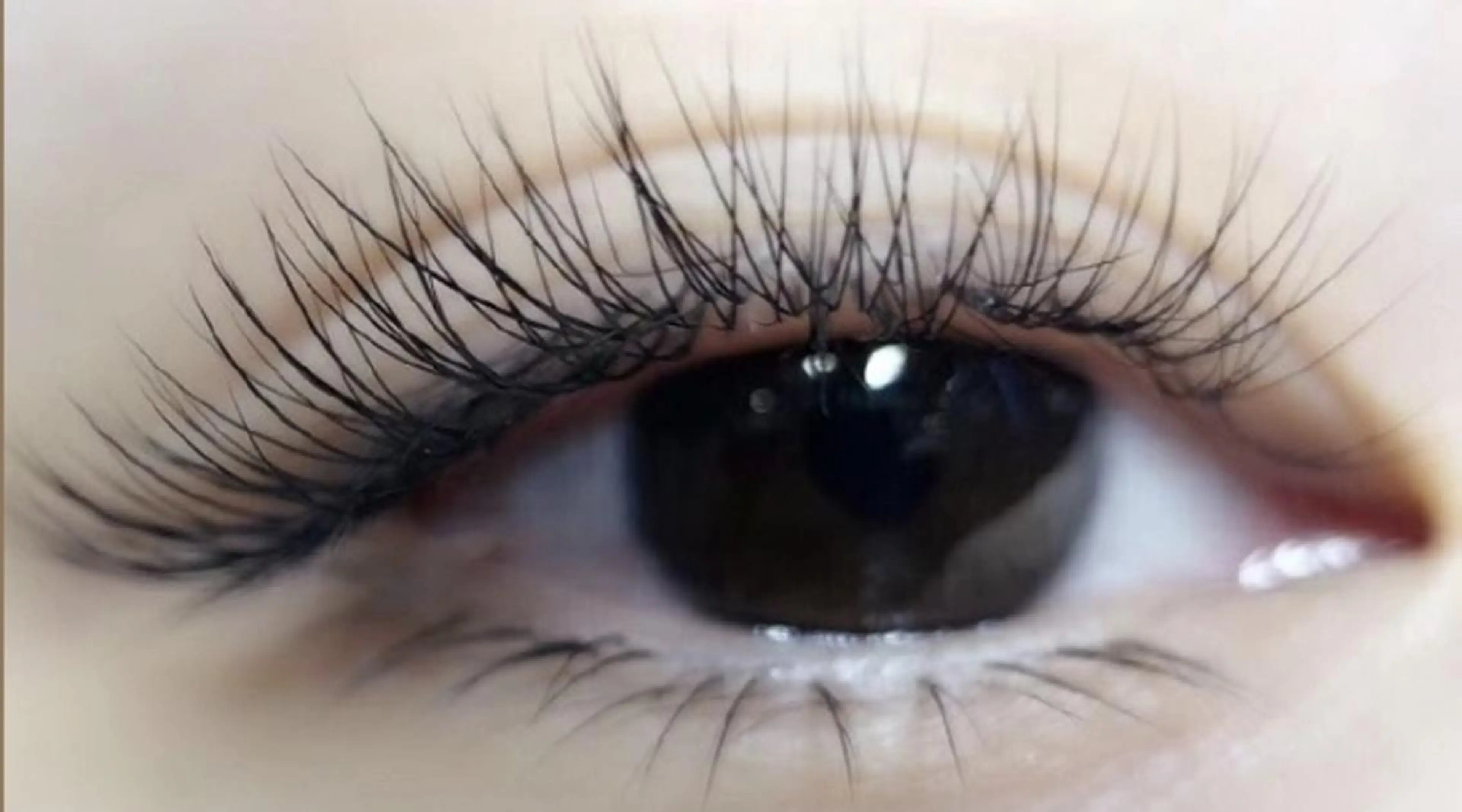 マツエク・マツパ フラットラッシュ Cute beauty2のマツエク・マツパデザイン