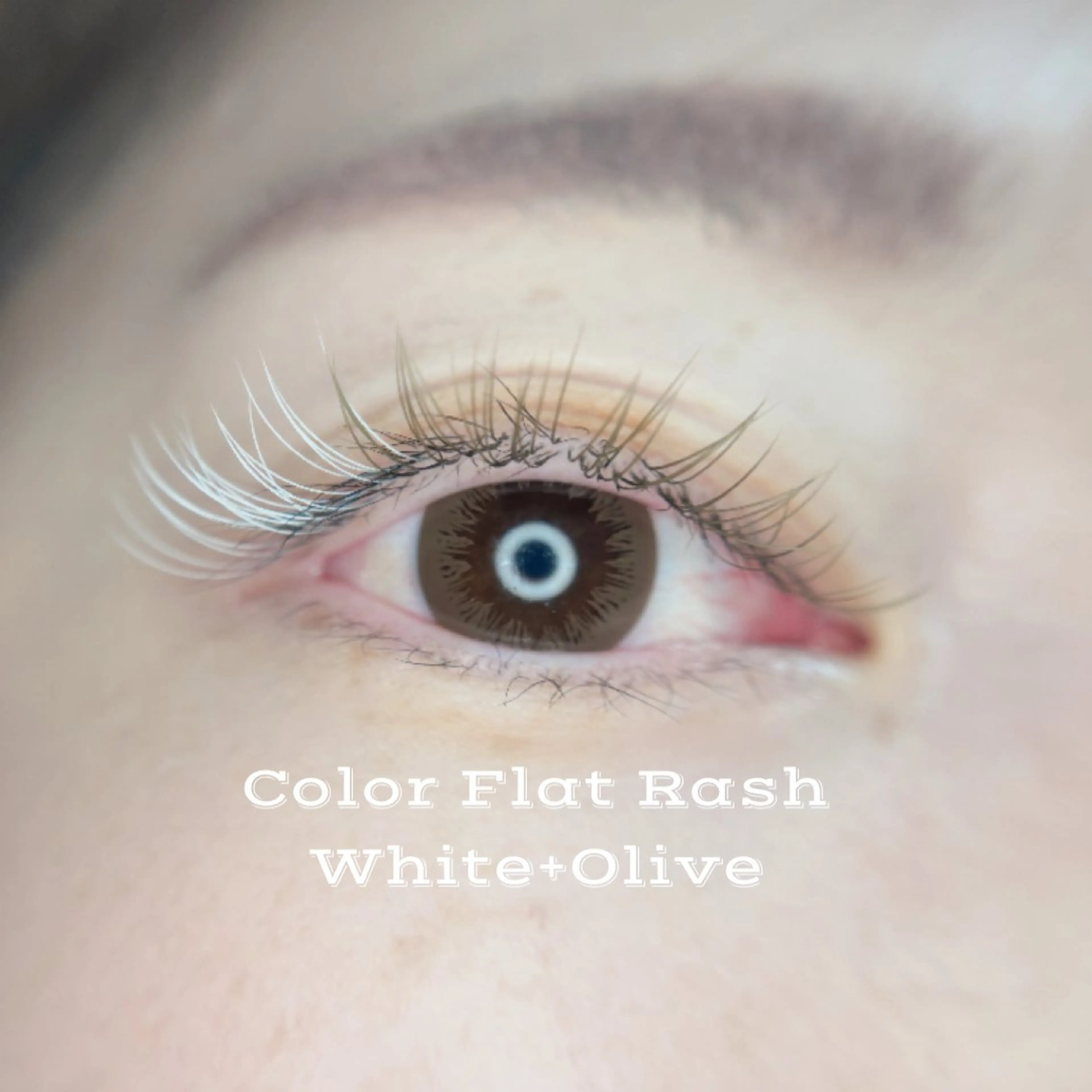 マツエク・マツパ フラットラッシュ 🦋MaaZlash 南流山FUKA🤍のマツエク・マツパデザイン