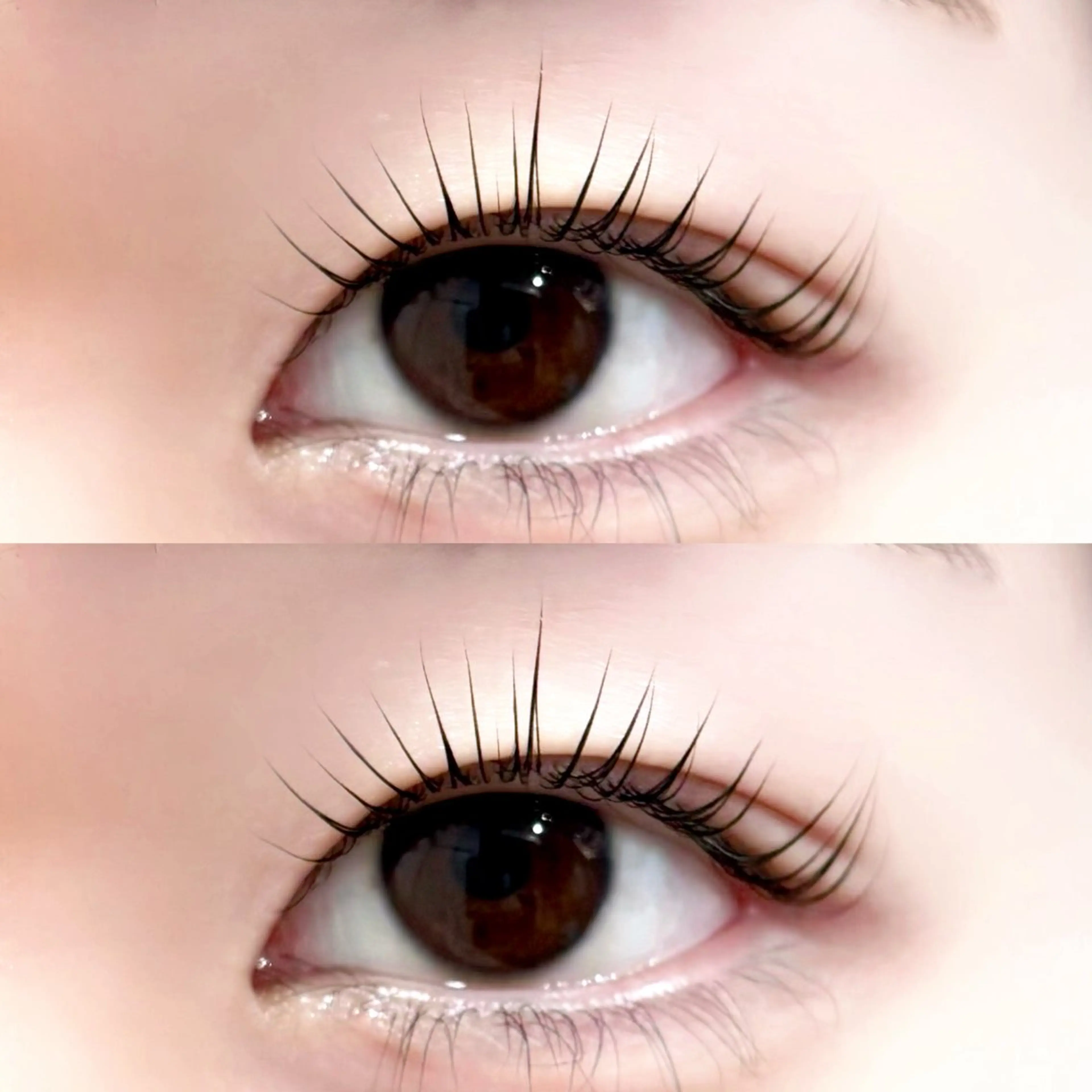 マツエク・マツパ Lupines Asahi🔆のマツエク・マツパデザイン