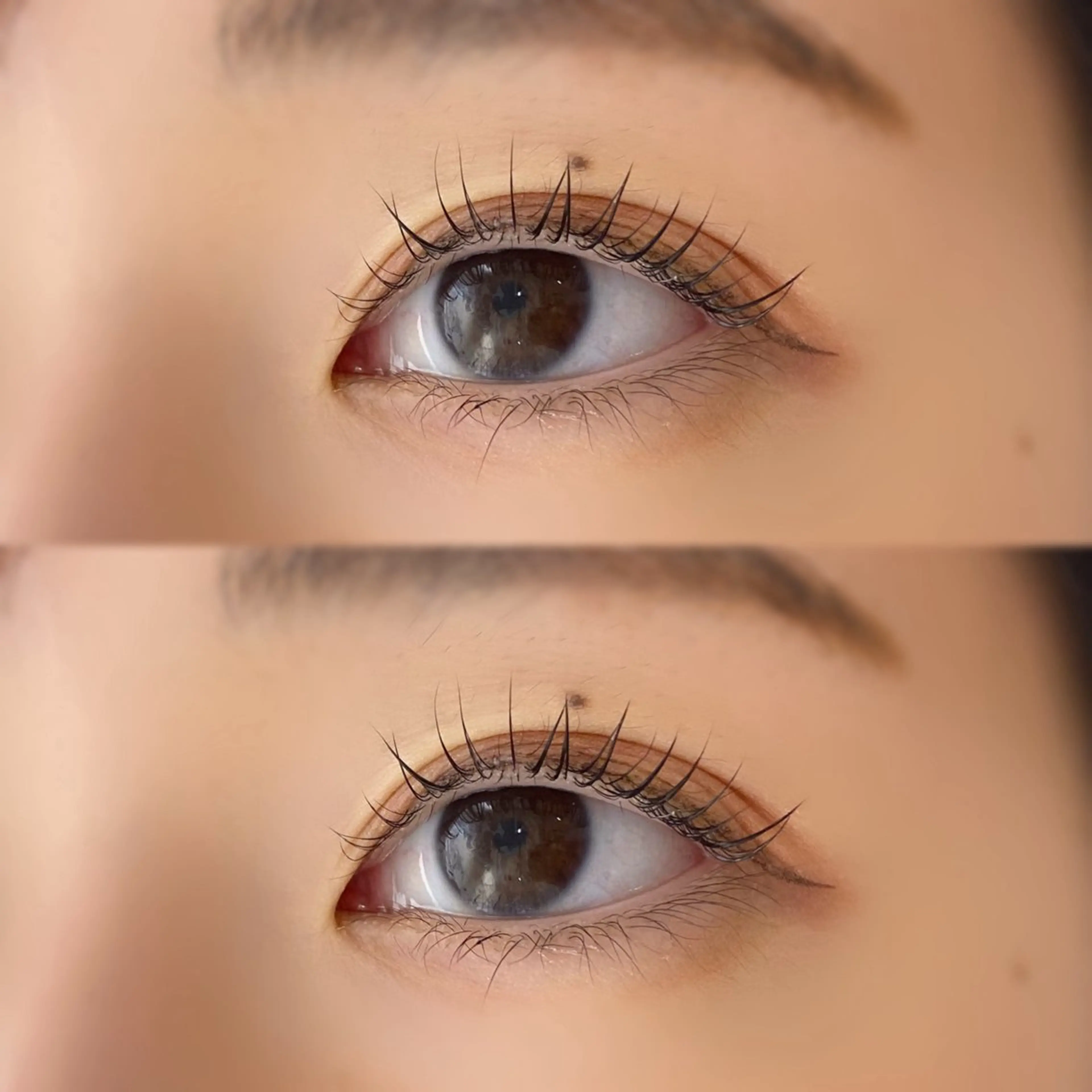 🪄パリジェンヌラッシュリフト🪄の写真