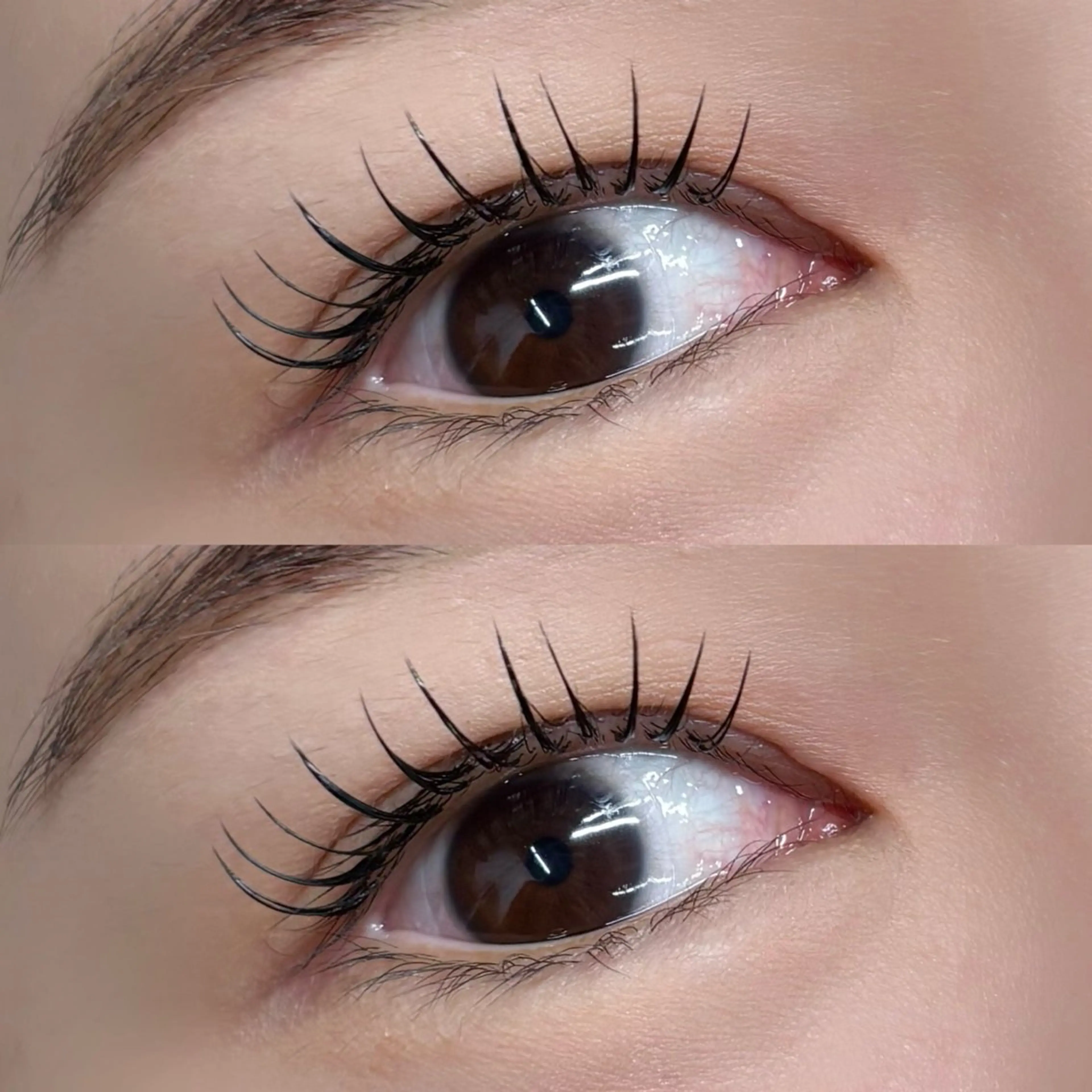 マツエク・マツパ マツエク 【LILY】伊沢/ バインド/パリ/エクのマツエク・マツパデザイン