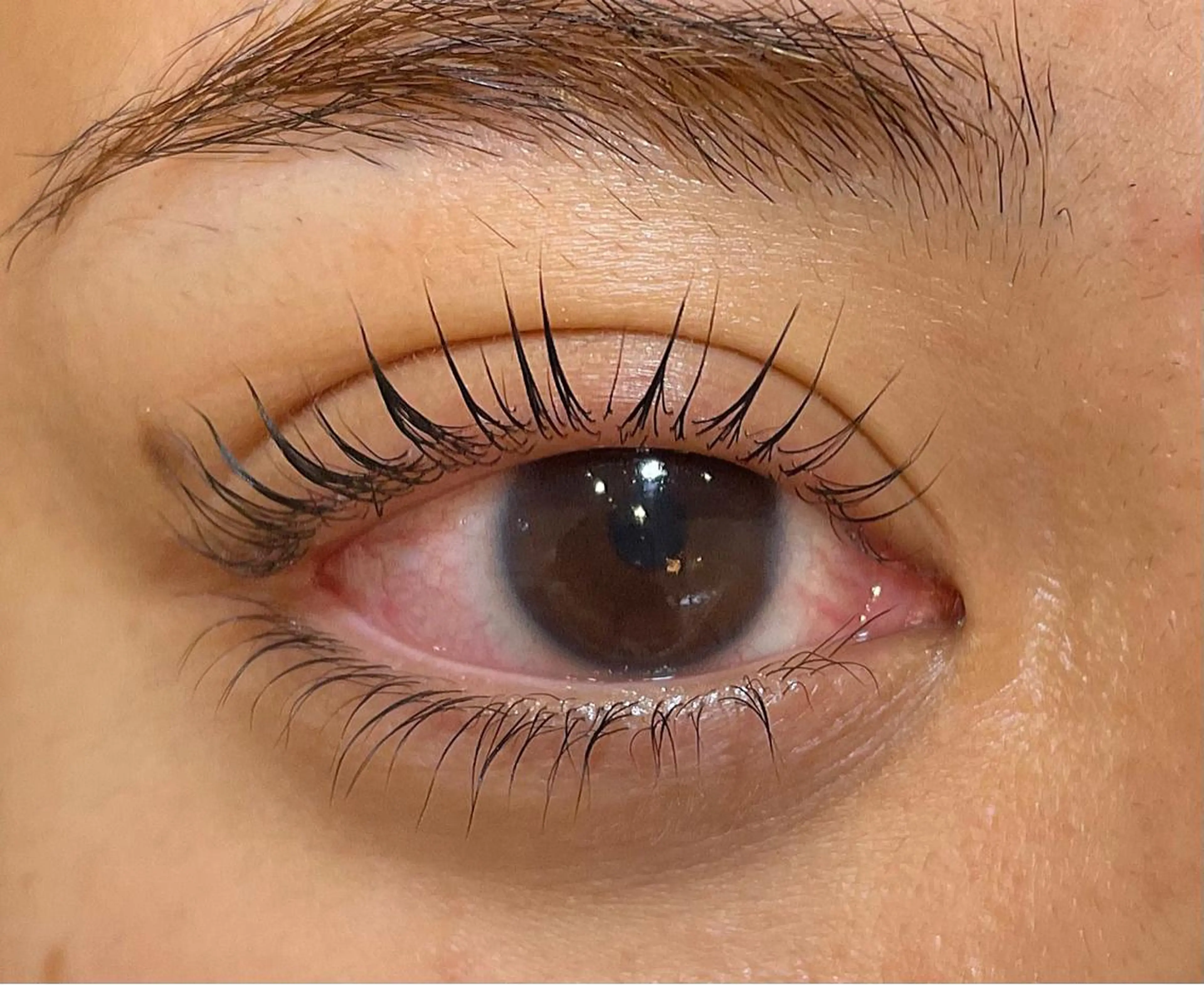 マツエク・マツパ パリジェンヌラッシュリフト マツパ Emil eye roomのマツエク・マツパデザイン