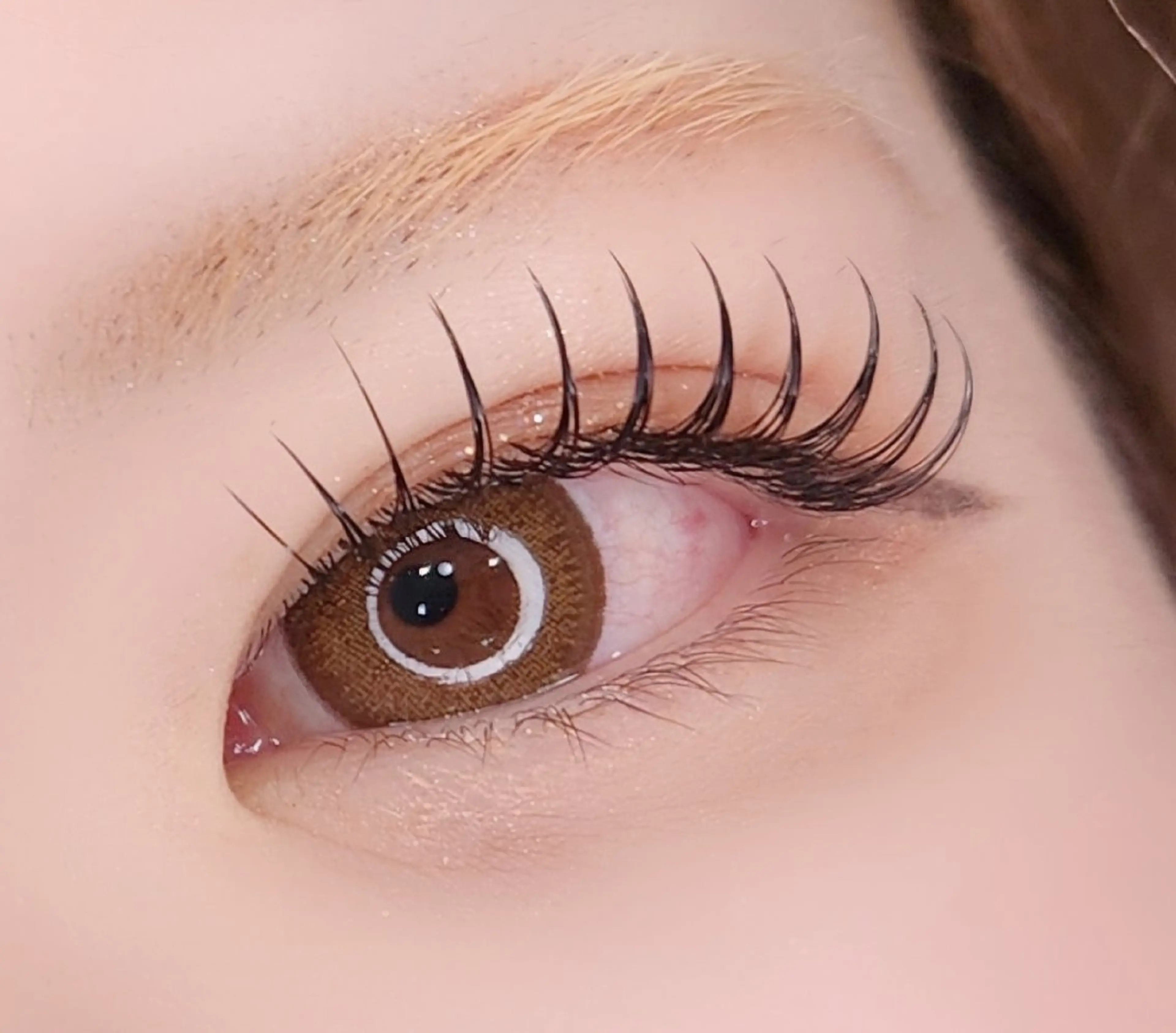 フラットラッシュ160本まで( ꇐᴗꇐ )の写真