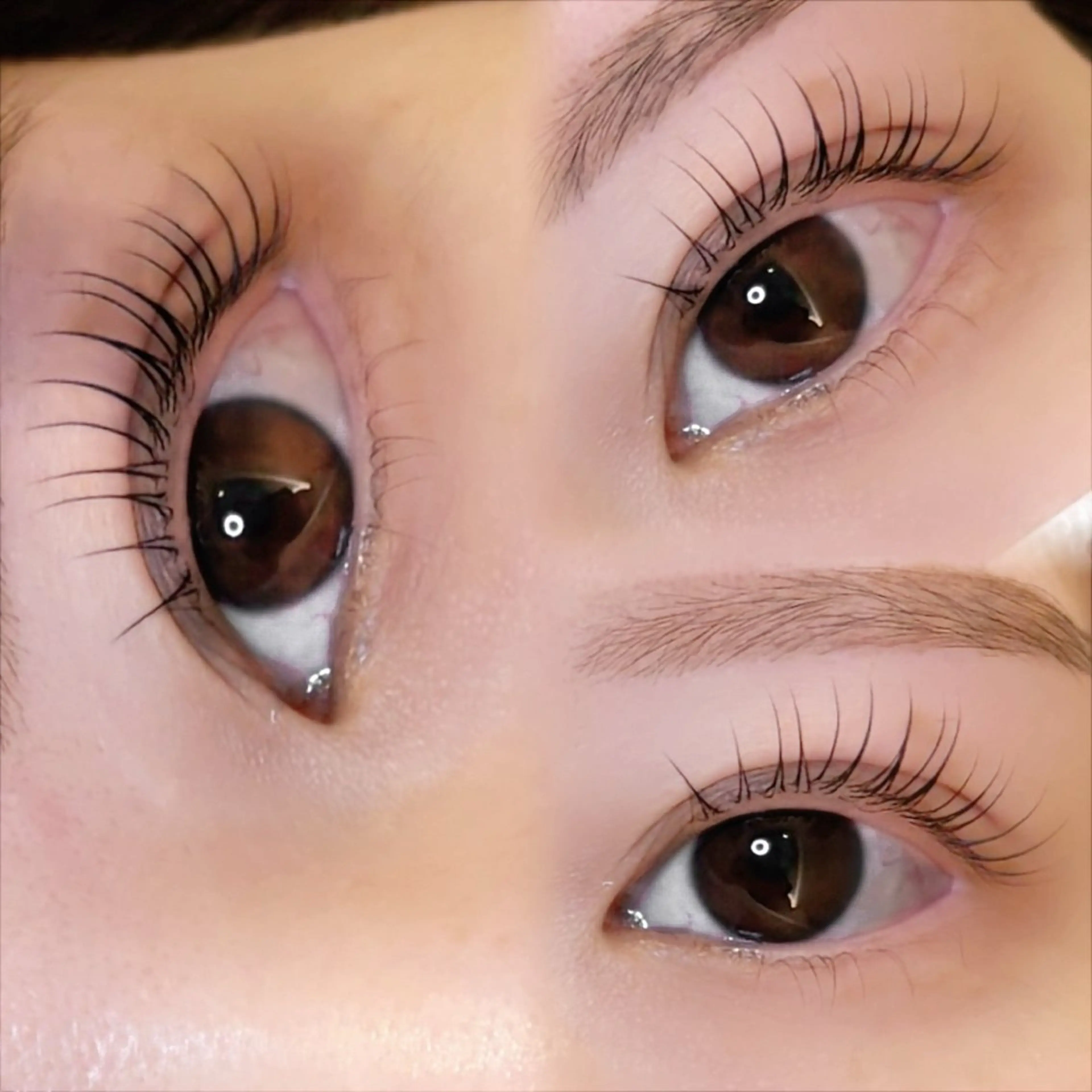 マツエク・マツパ マツパ Teresa/ トップアイリストのマツエク・マツパデザイン