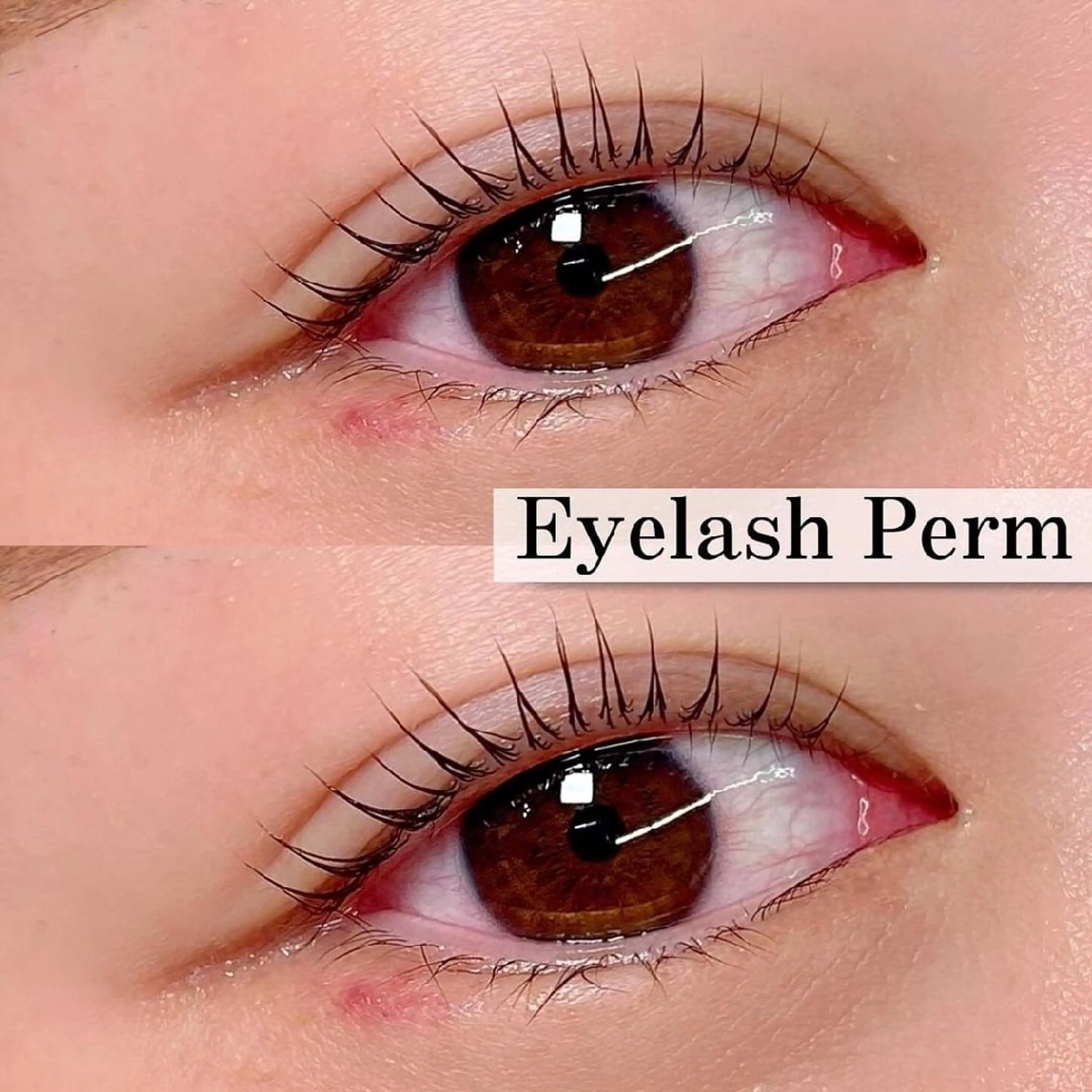 💙まつ毛パーマ💙【束感/Cカール/Uカール/韓国風/立ち上げカール/メーテル】の写真