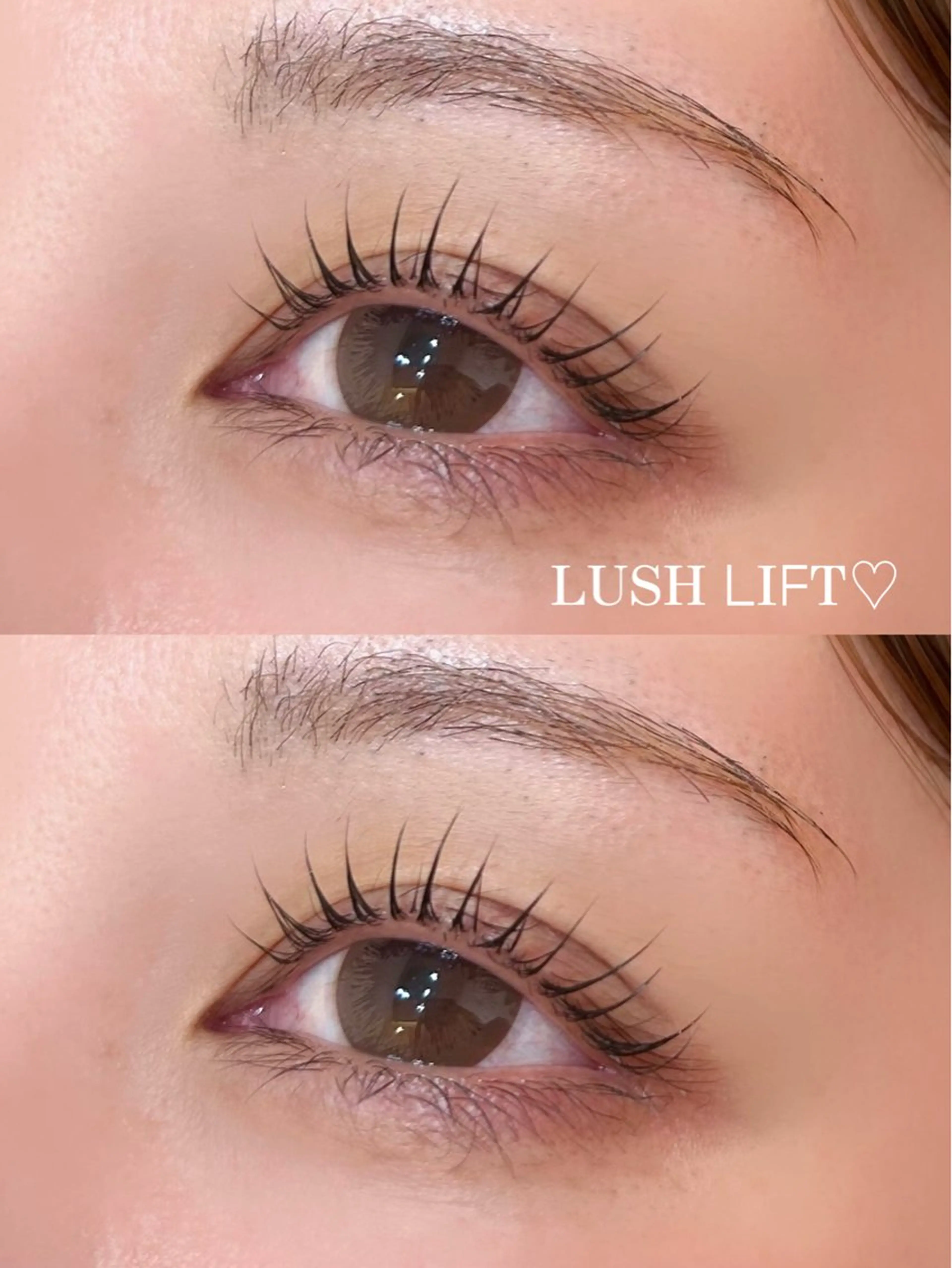 マツエク・マツパ マツパ LUVISM 長岡 小熊のマツエク・マツパデザイン