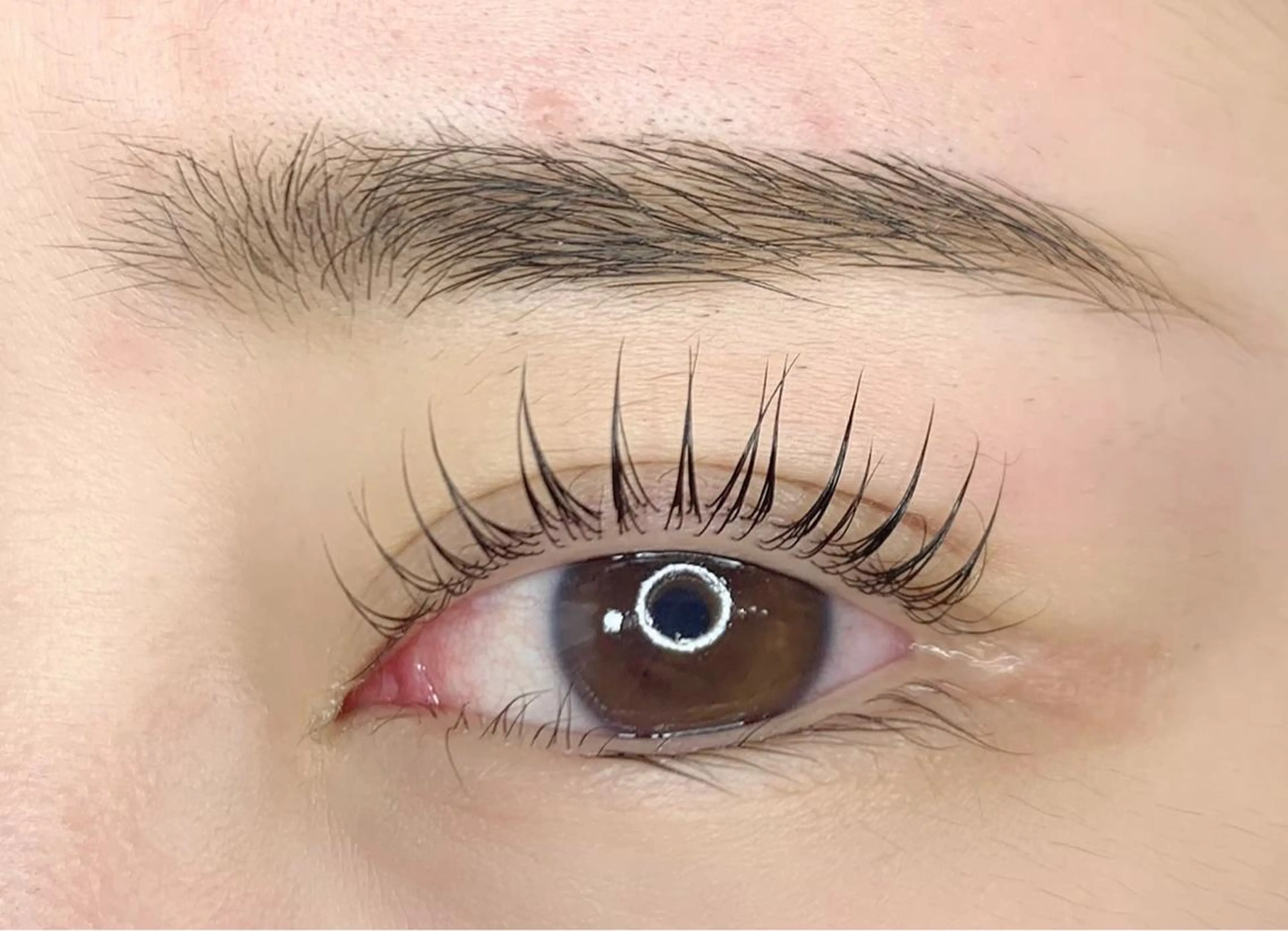 マツエク・マツパ パリジェンヌラッシュリフト étora新宿 まつげ/眉毛のマツエク・マツパデザイン