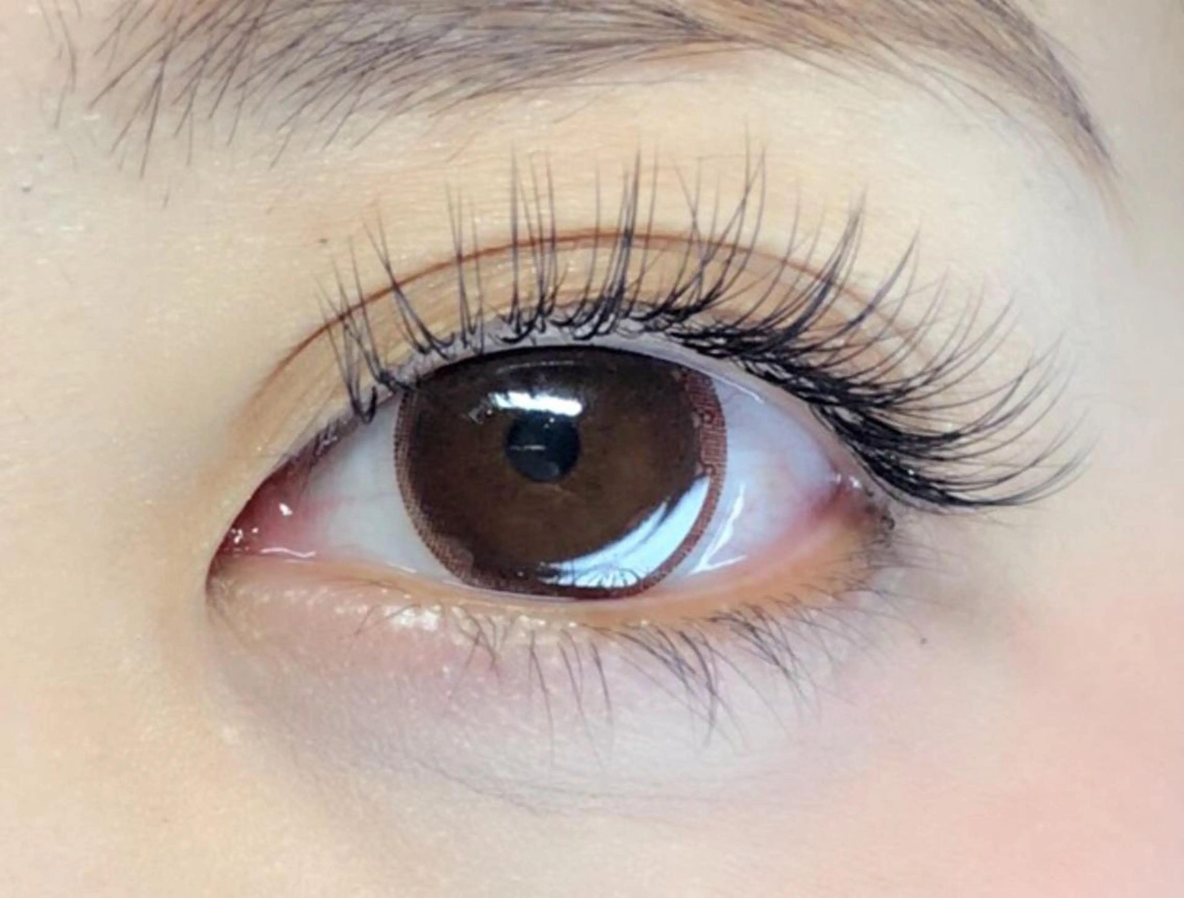 マツエク・マツパ マツエク リネル 新宿西口のマツエク・マツパデザイン