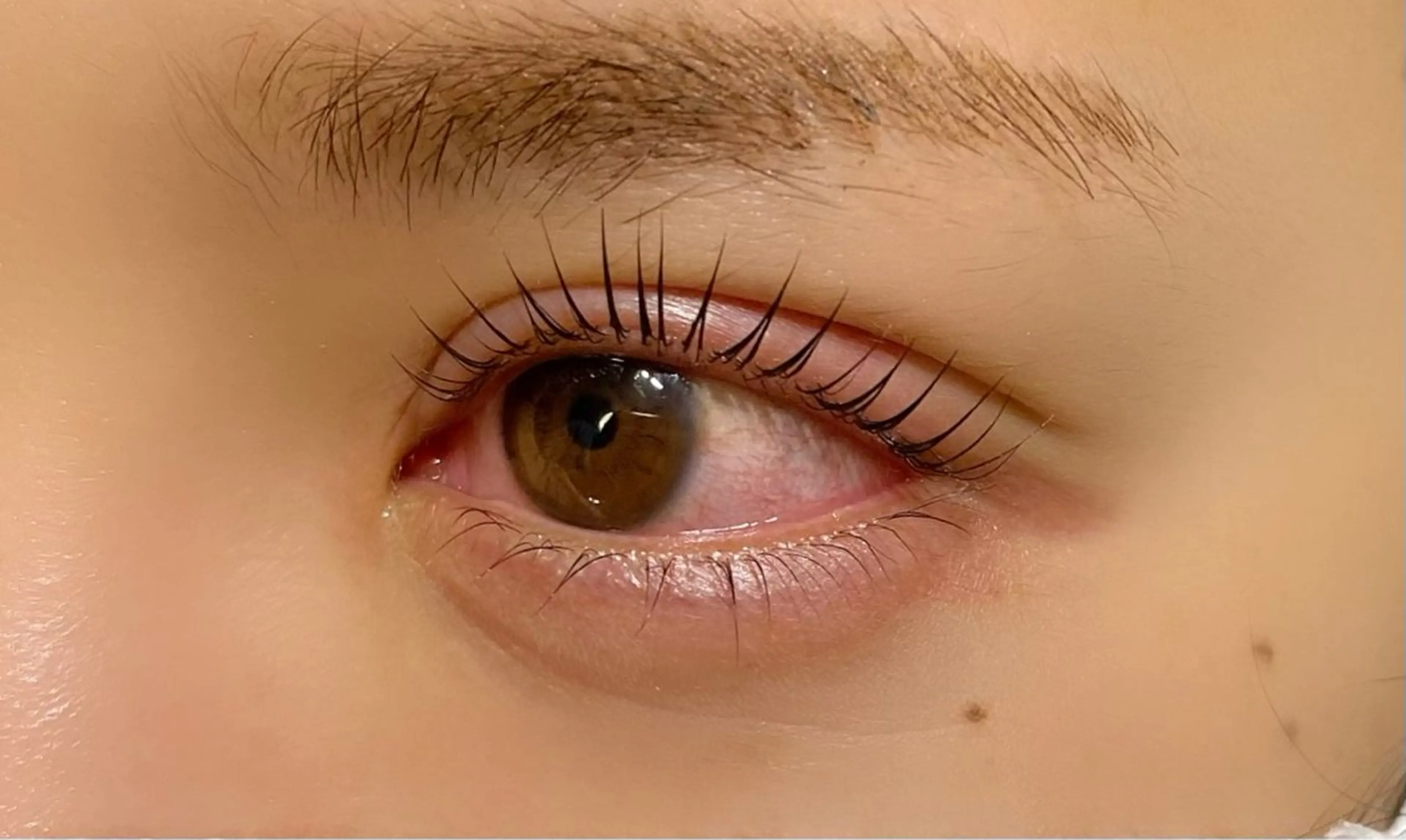 マツエク・マツパ パリジェンヌラッシュリフト Nao店長 /ルヴォルテ大須のマツエク・マツパデザイン