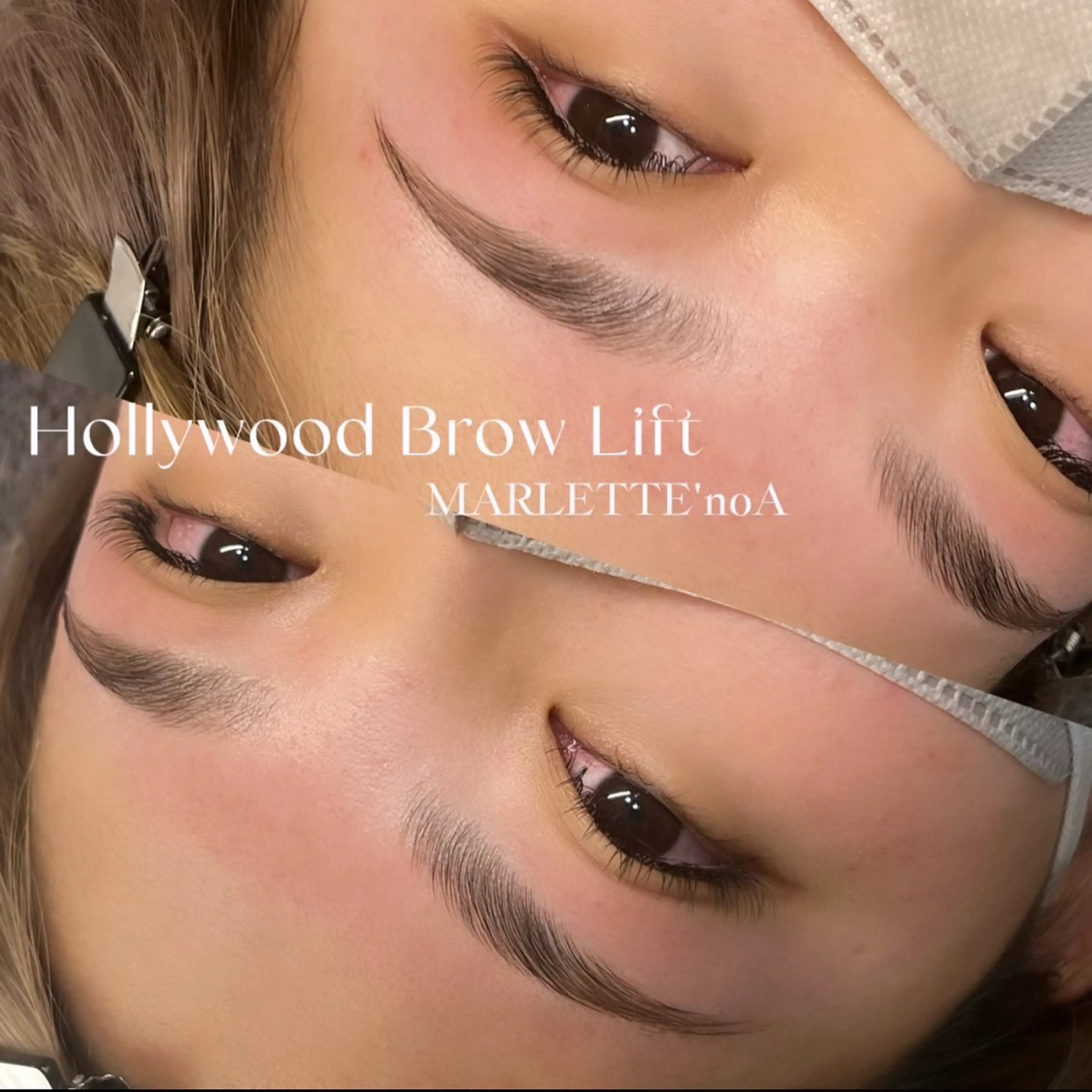 🦋HBL🦋の写真