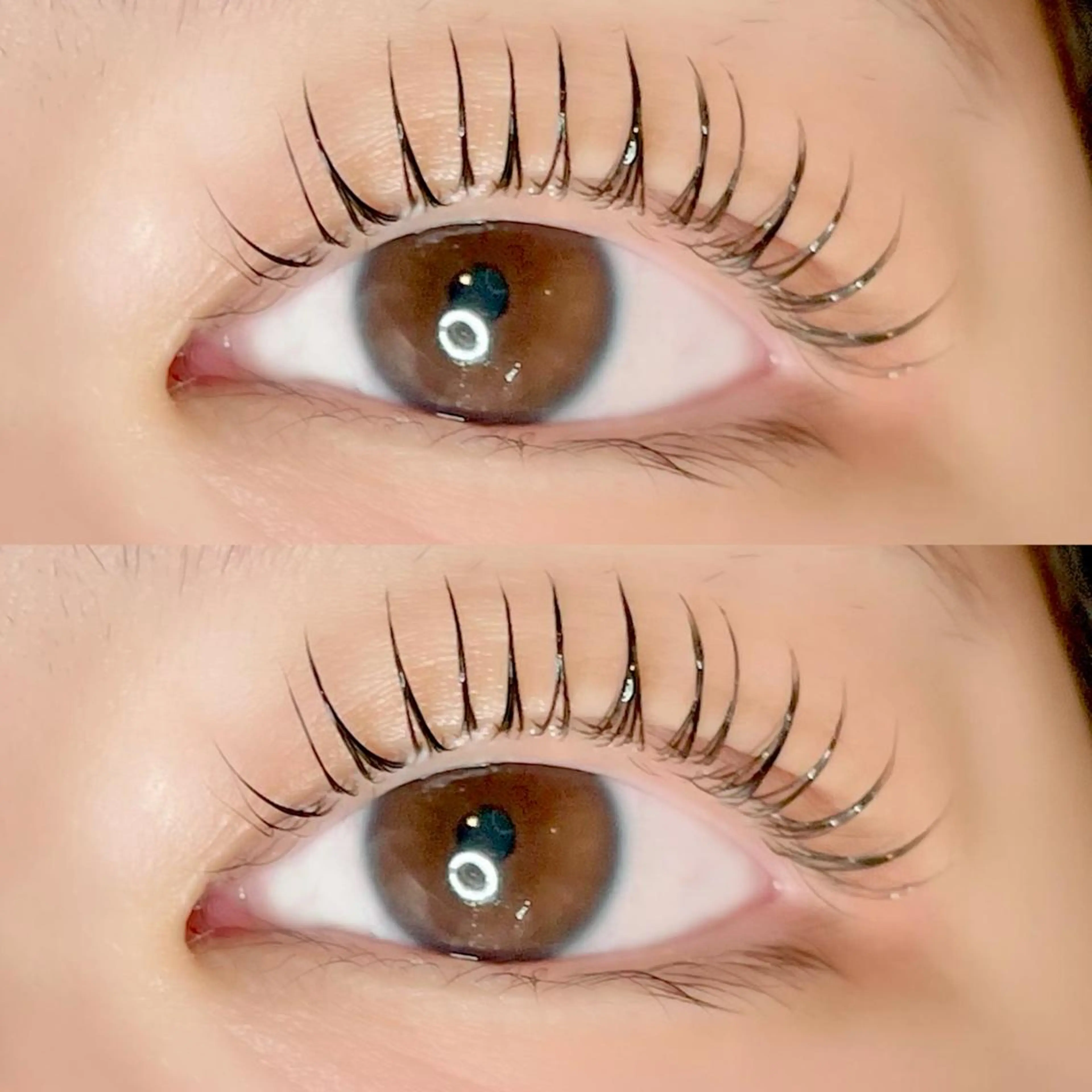 マツエク・マツパ マツパ AYLASH🧡 猪又のマツエク・マツパデザイン