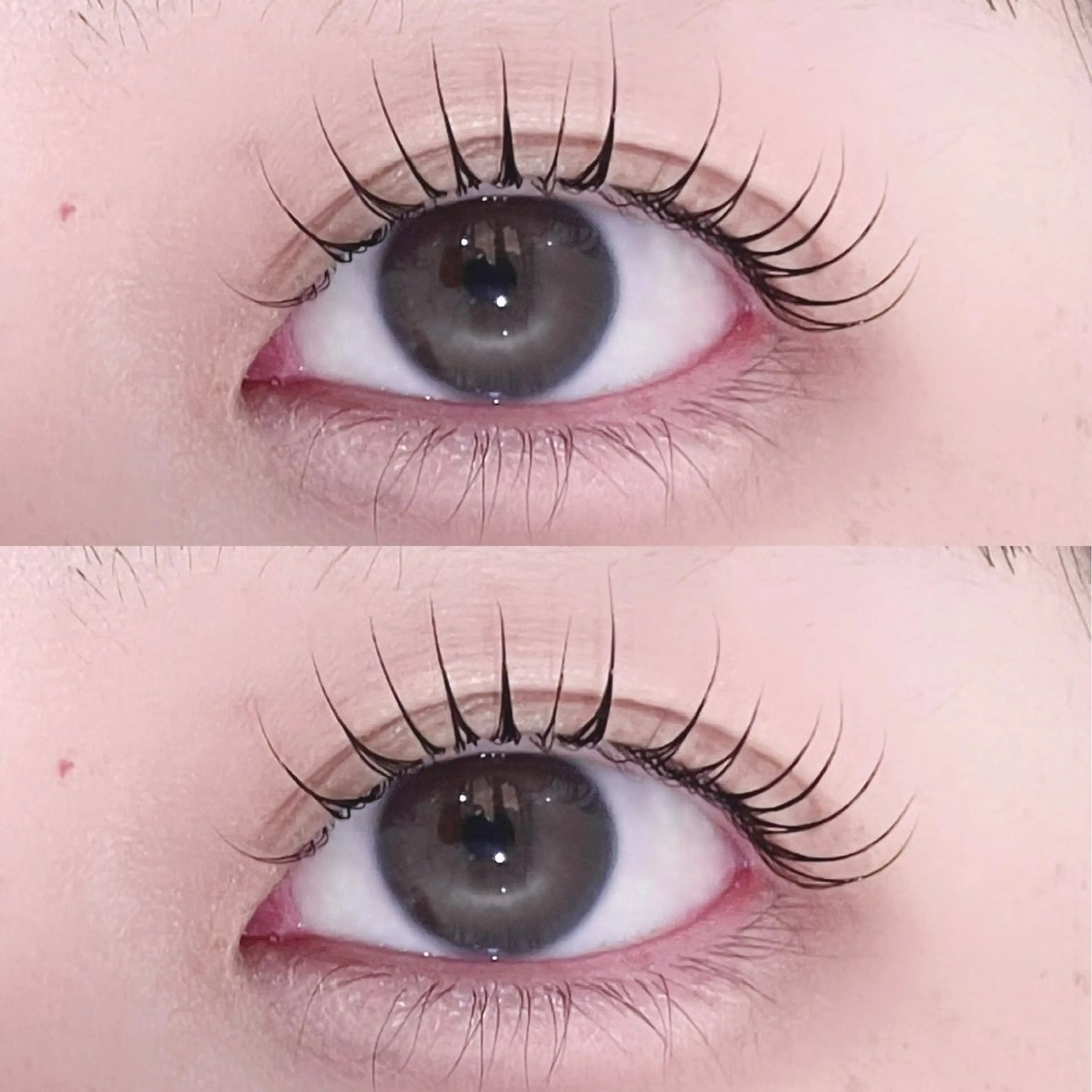 20日からご予約可能です！🉑《無料》まつげパーマ (注意事項を必ずご確認下さい⚠️)の写真