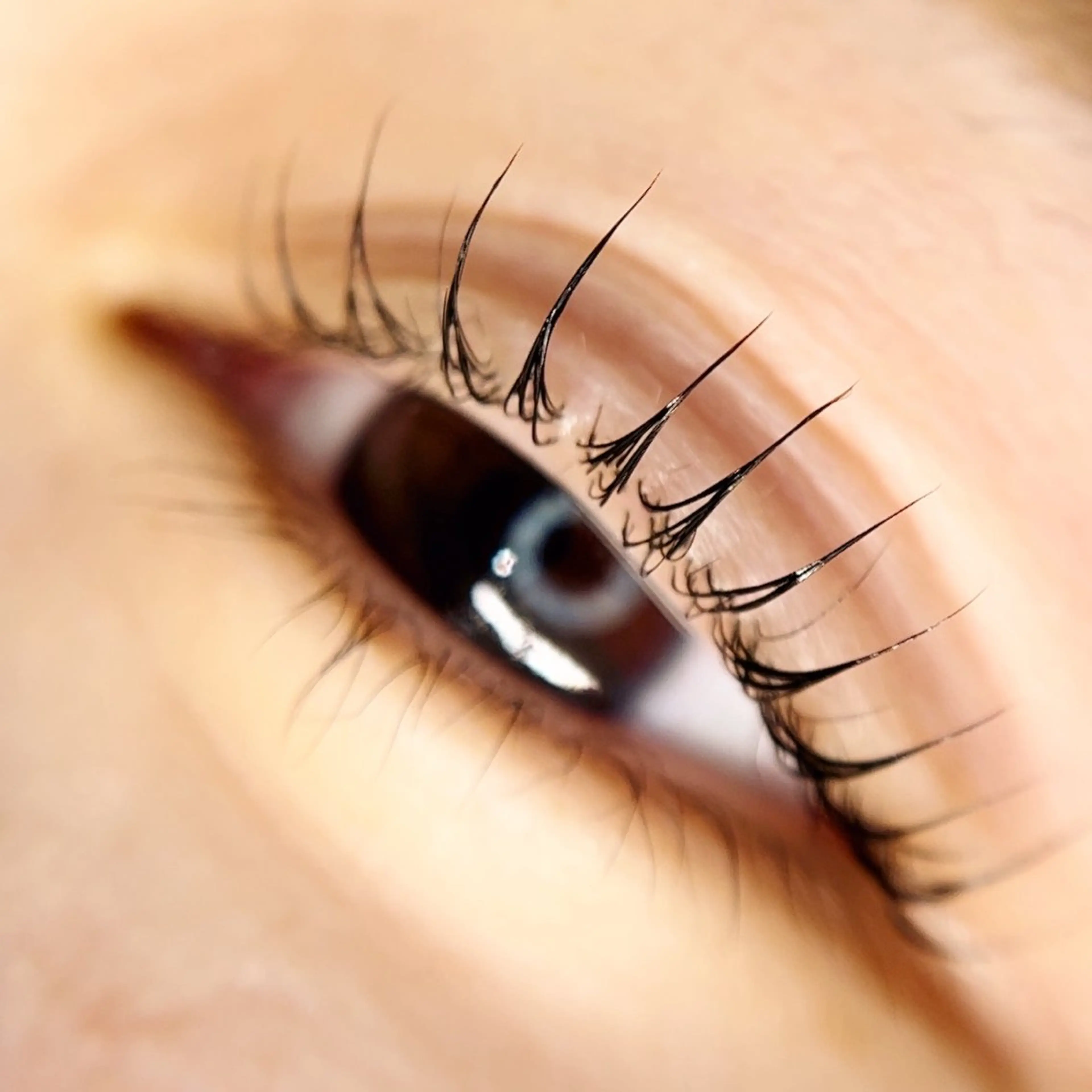 マツエク・マツパ パリジェンヌラッシュリフト Liyone 橋本のマツエク・マツパデザイン