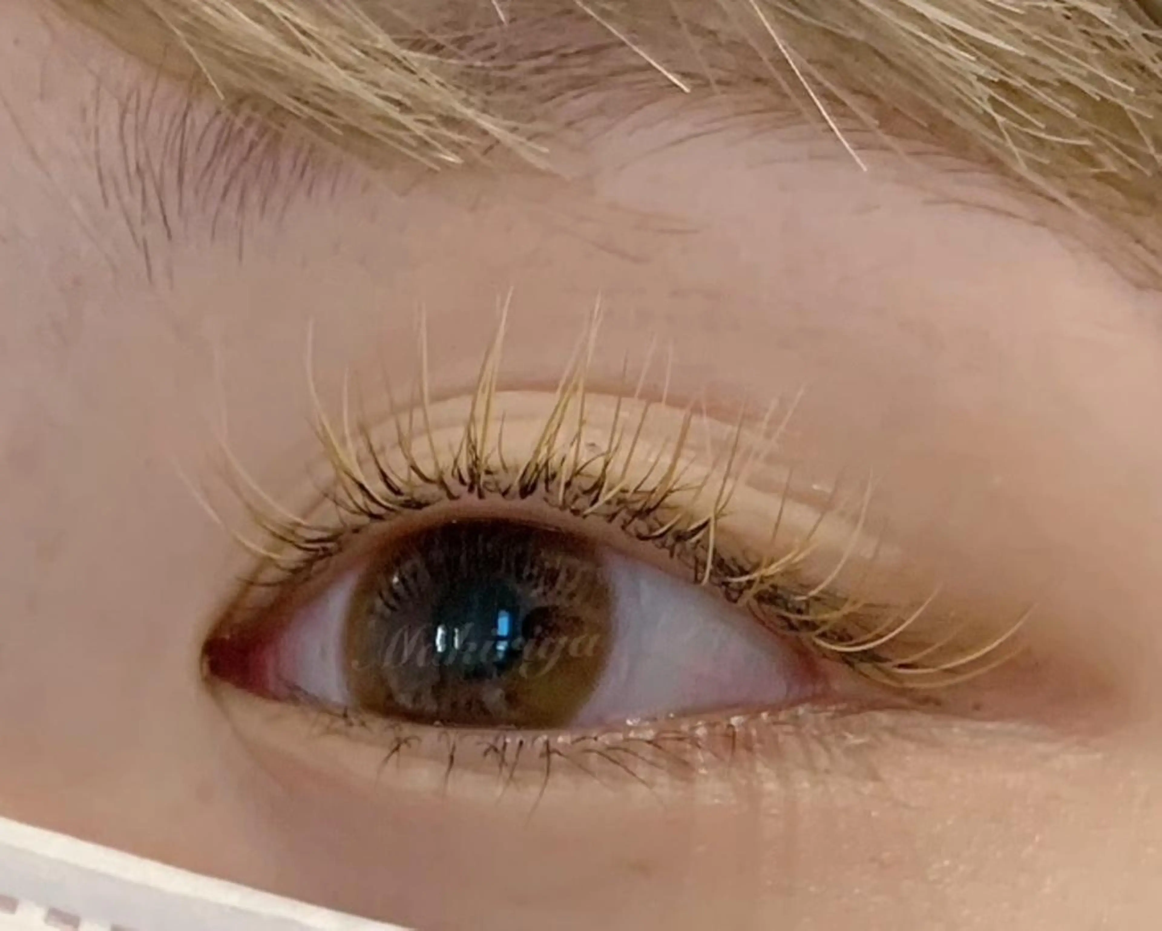 マツエク・マツパ カラーマツエク 💜megu 💅✨のマツエク・マツパデザイン