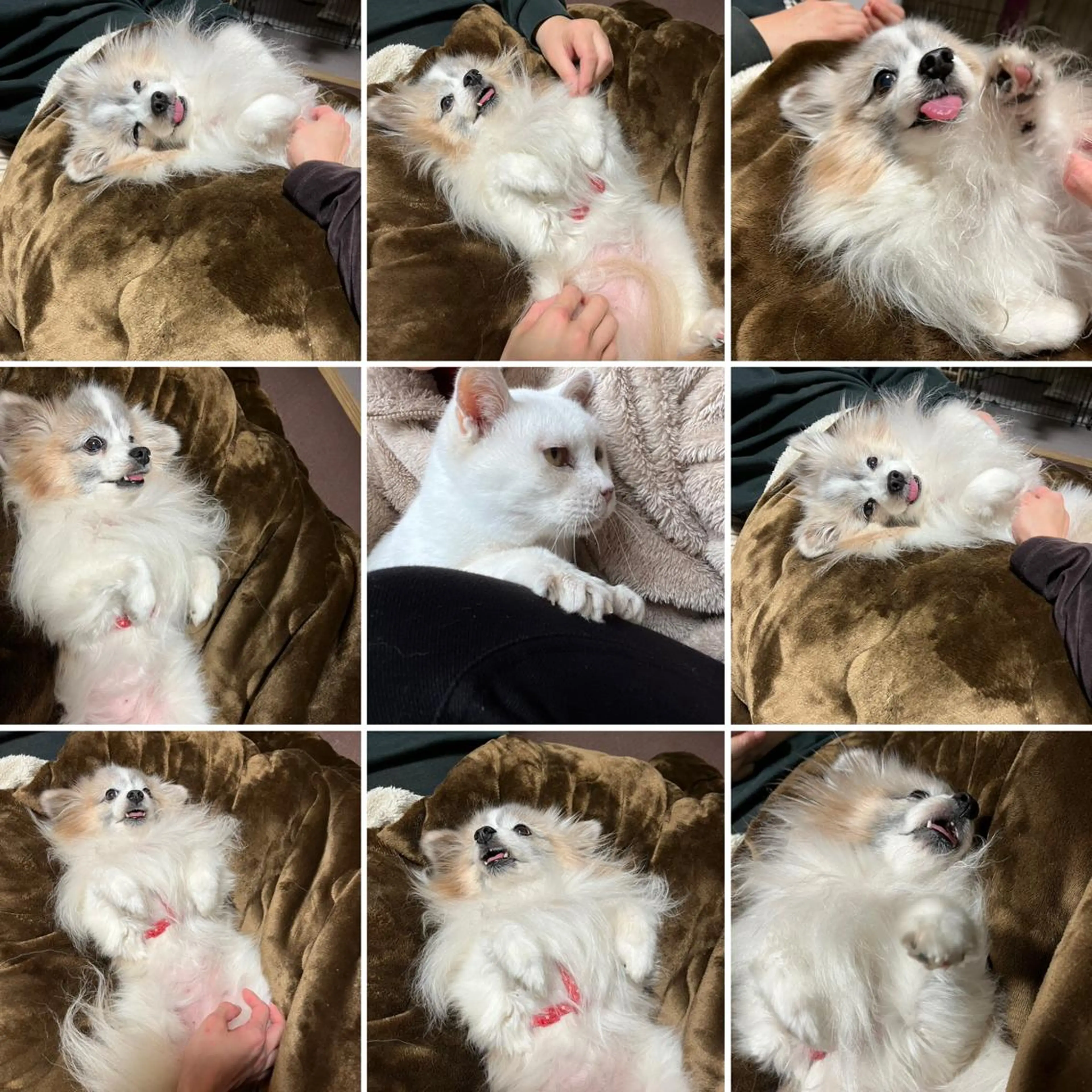 鈴木 愛加のエステ・リラクイメージ