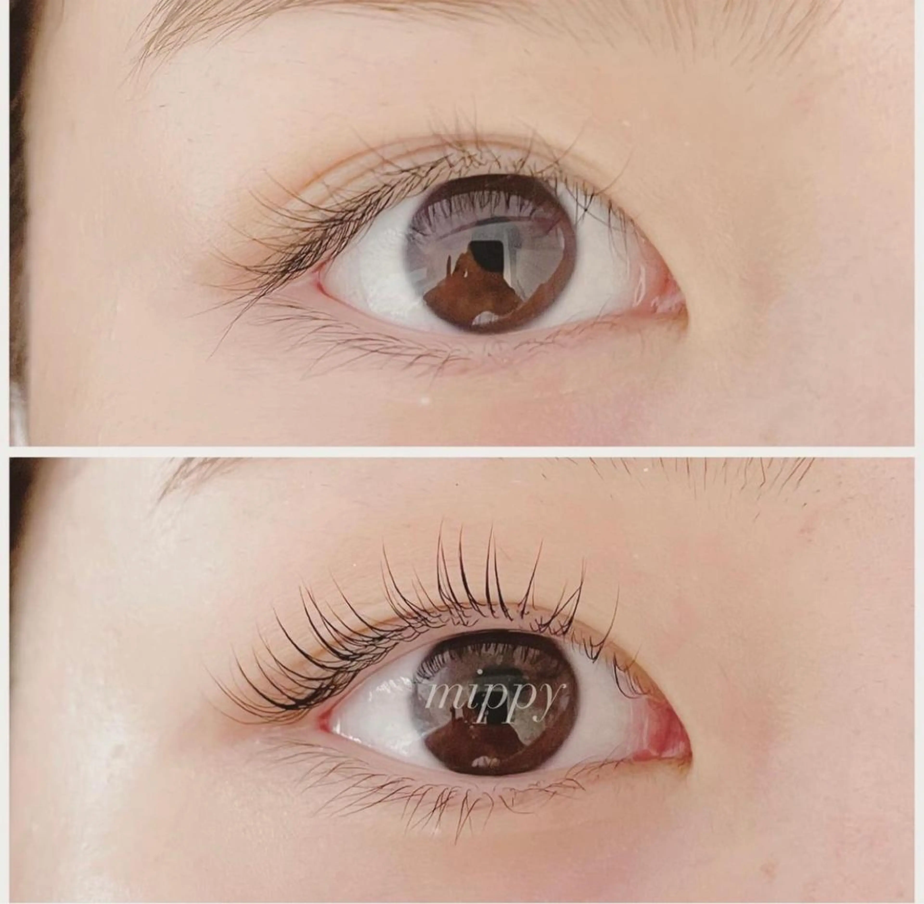 マツエク・マツパ パリジェンヌラッシュリフト ｍｉｐｐｙ 🪽のマツエク・マツパデザイン