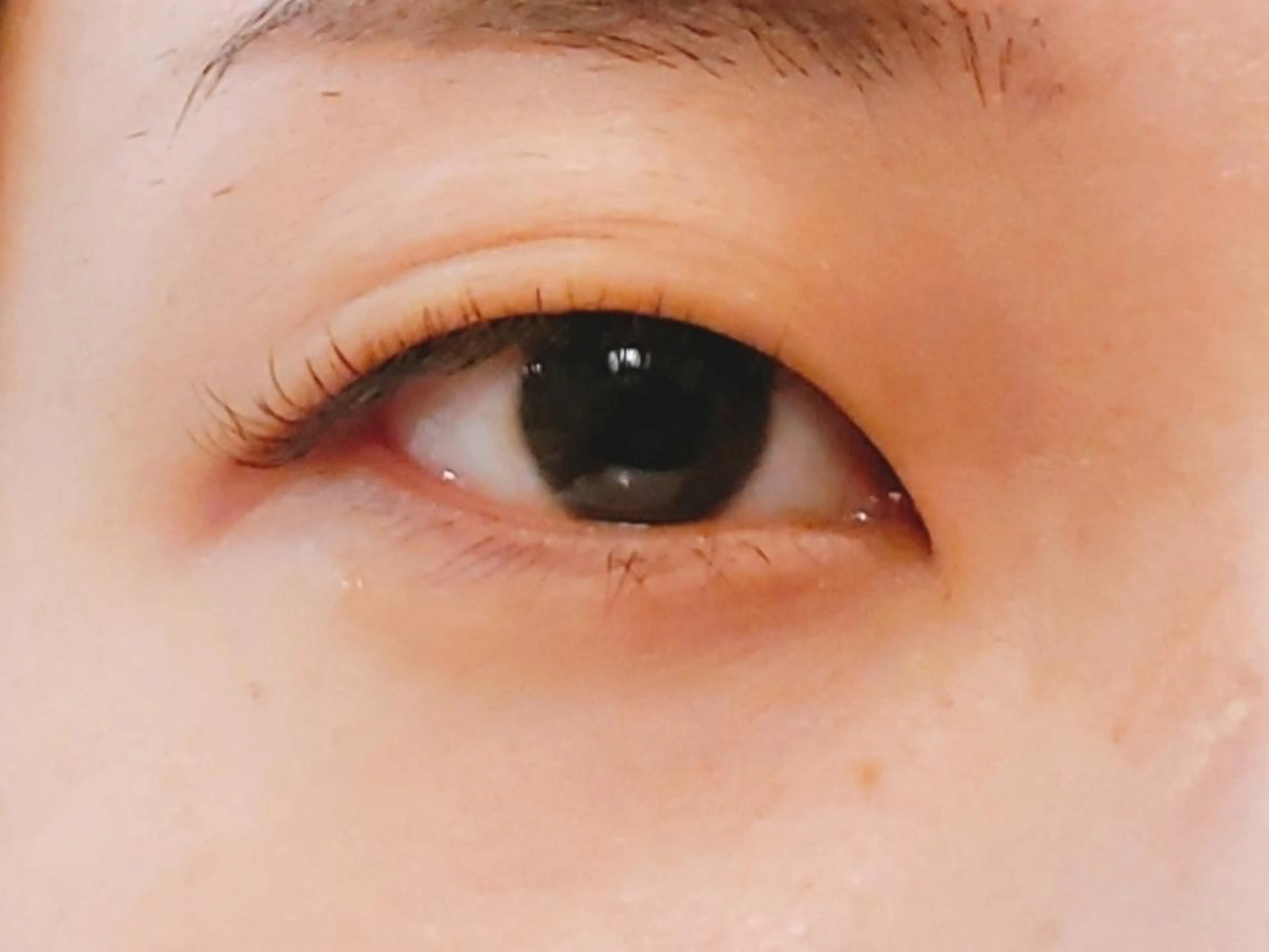 マツエク・マツパ フラットラッシュ 亀谷 夏希のマツエク・マツパデザイン