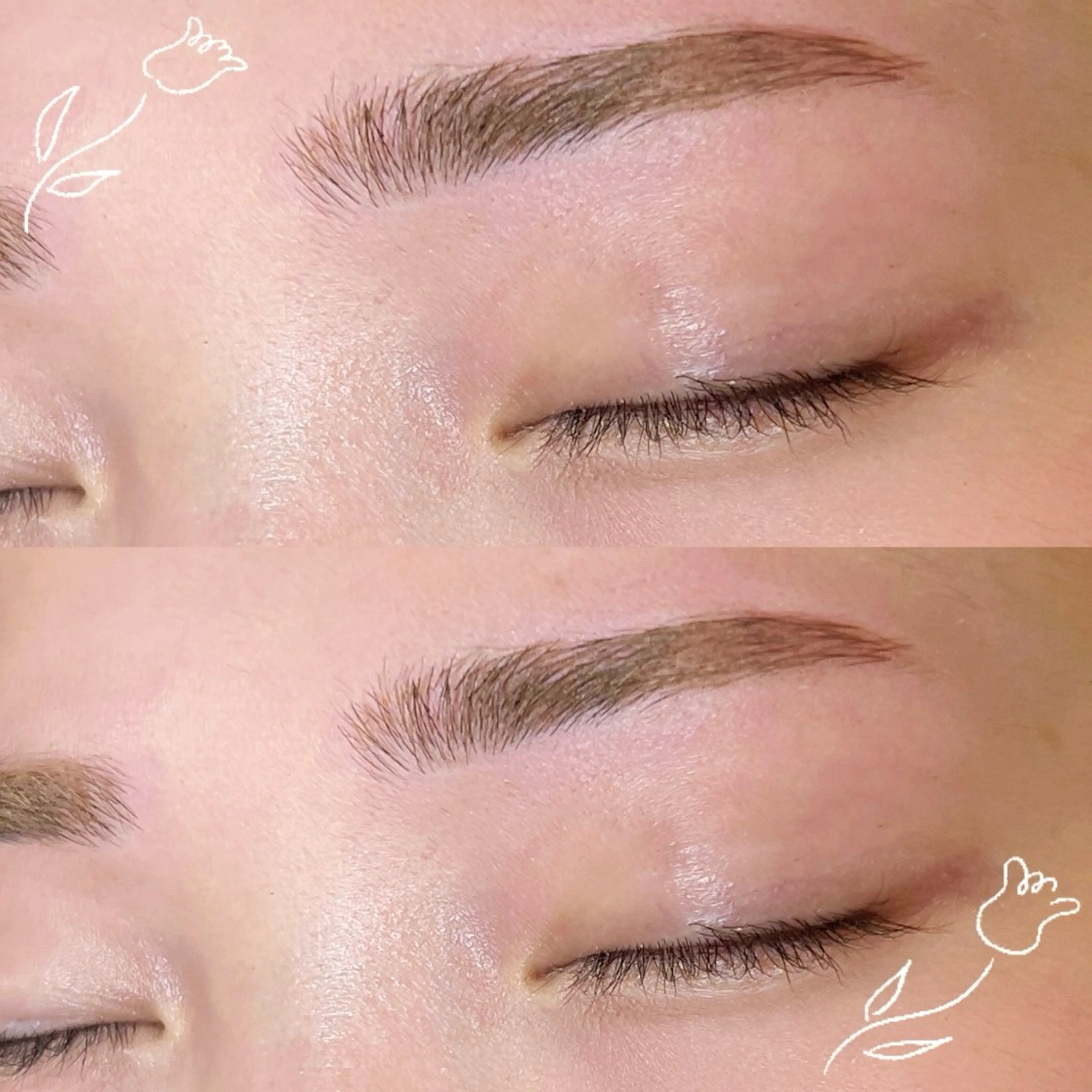 アイブロウ 🕊MaazLash 4🕊️のマツエク・マツパデザイン
