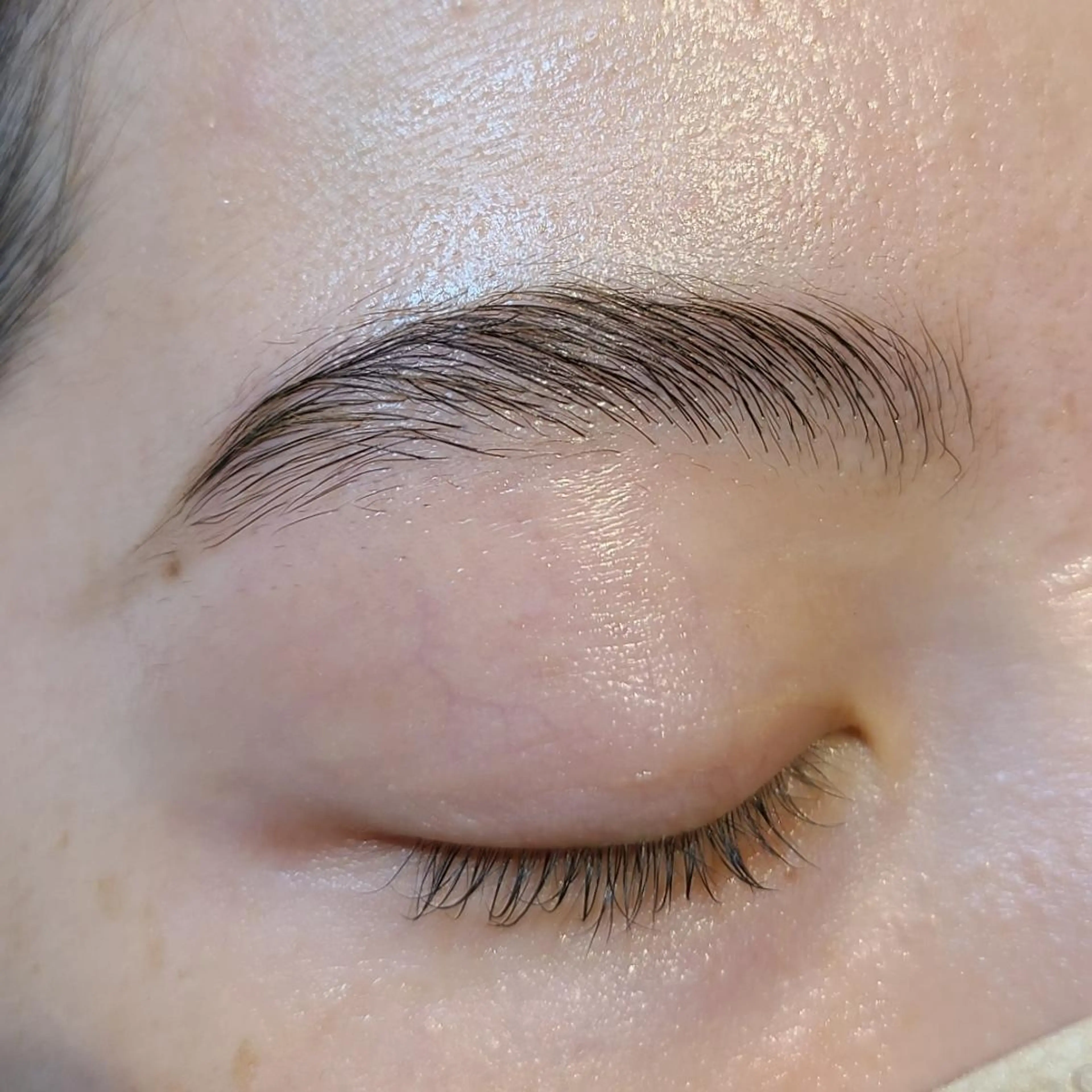 アイブロウ ハリウッドブロウリフト LASH BAR  友久のマツエク・マツパデザイン