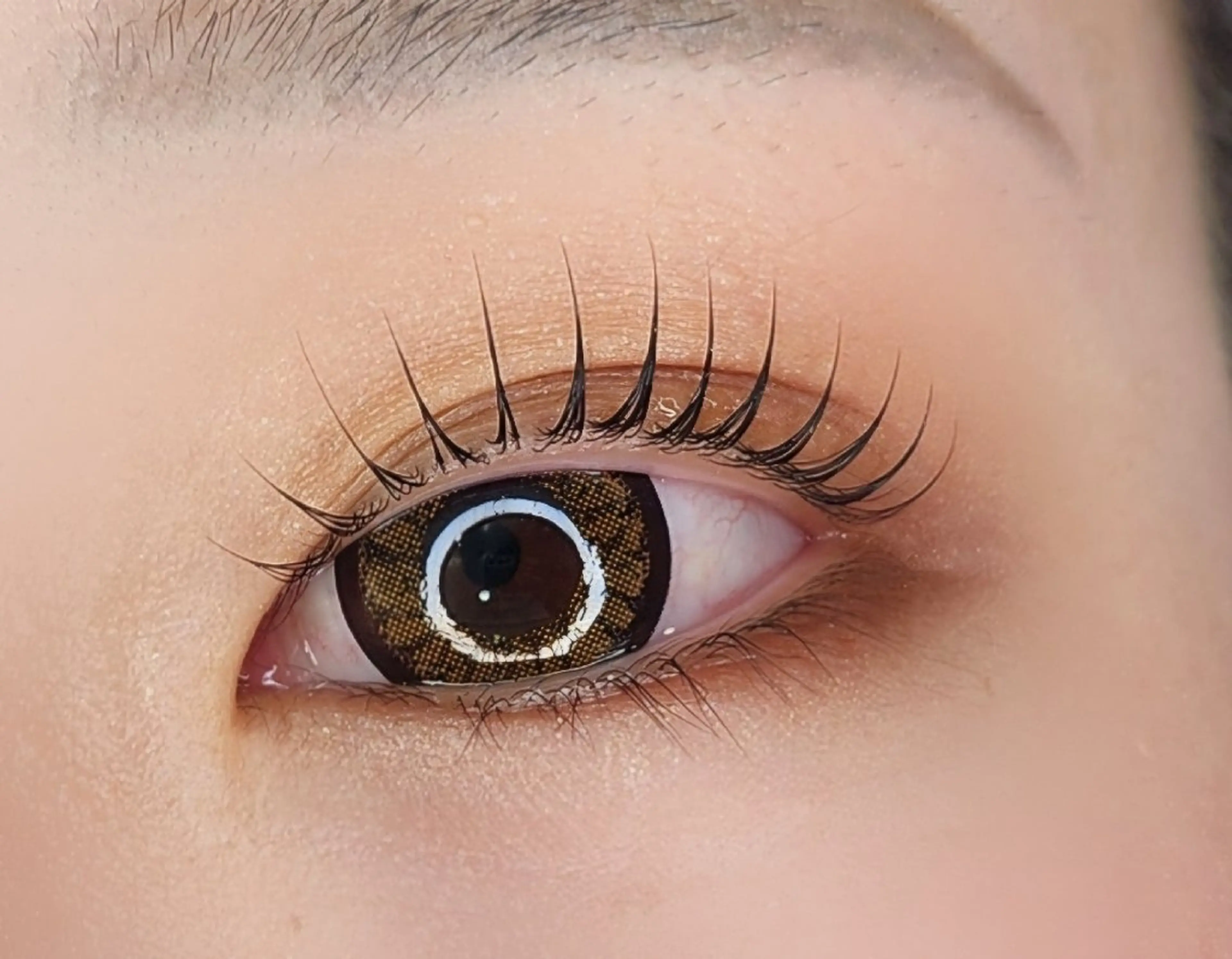 【SNSで話題】束感◎韓国風まつ毛パーマ☆Wトリートメント付き¥4,950の写真