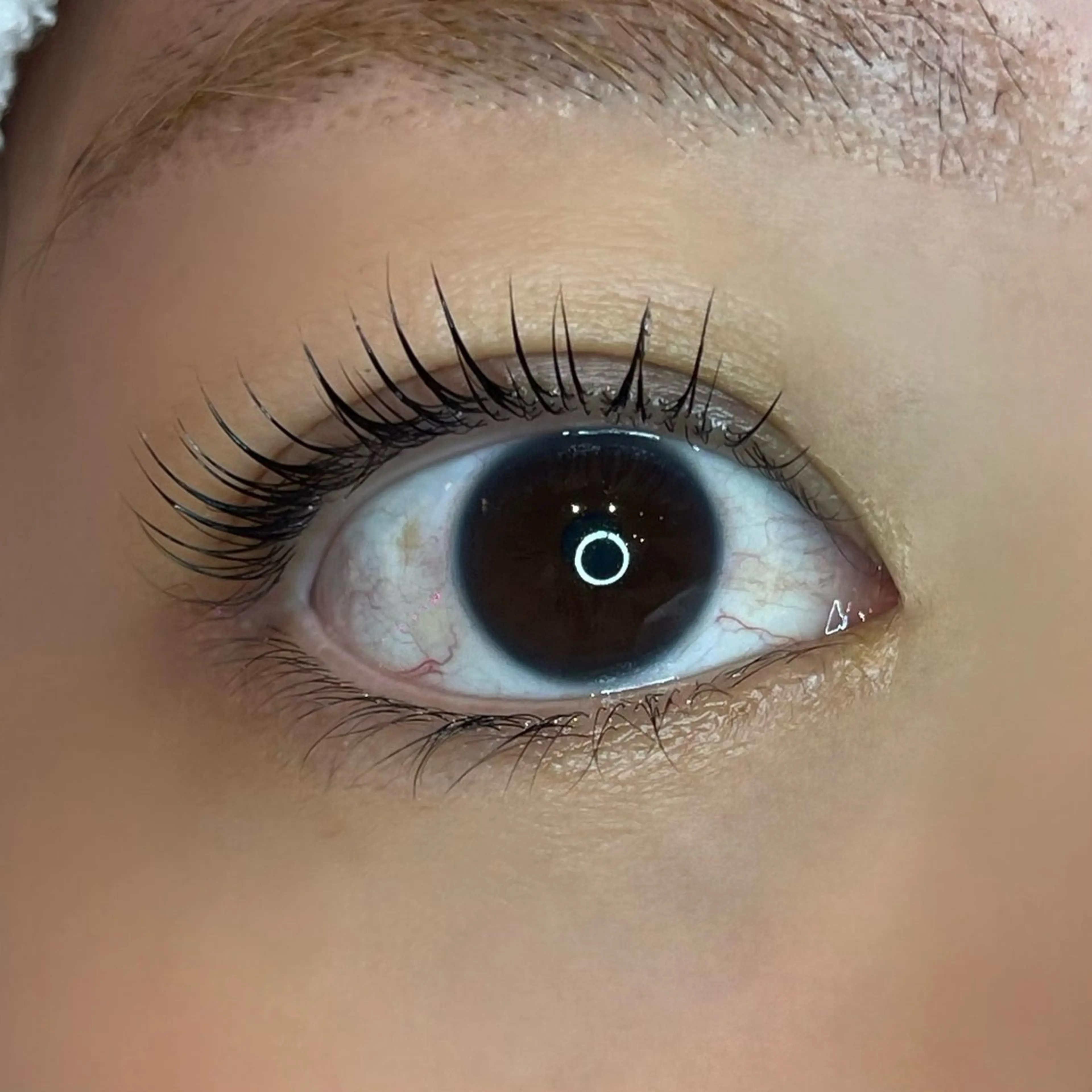 マツエク・マツパ メゾンドシャルム NISHIKAWAのマツエク・マツパデザイン